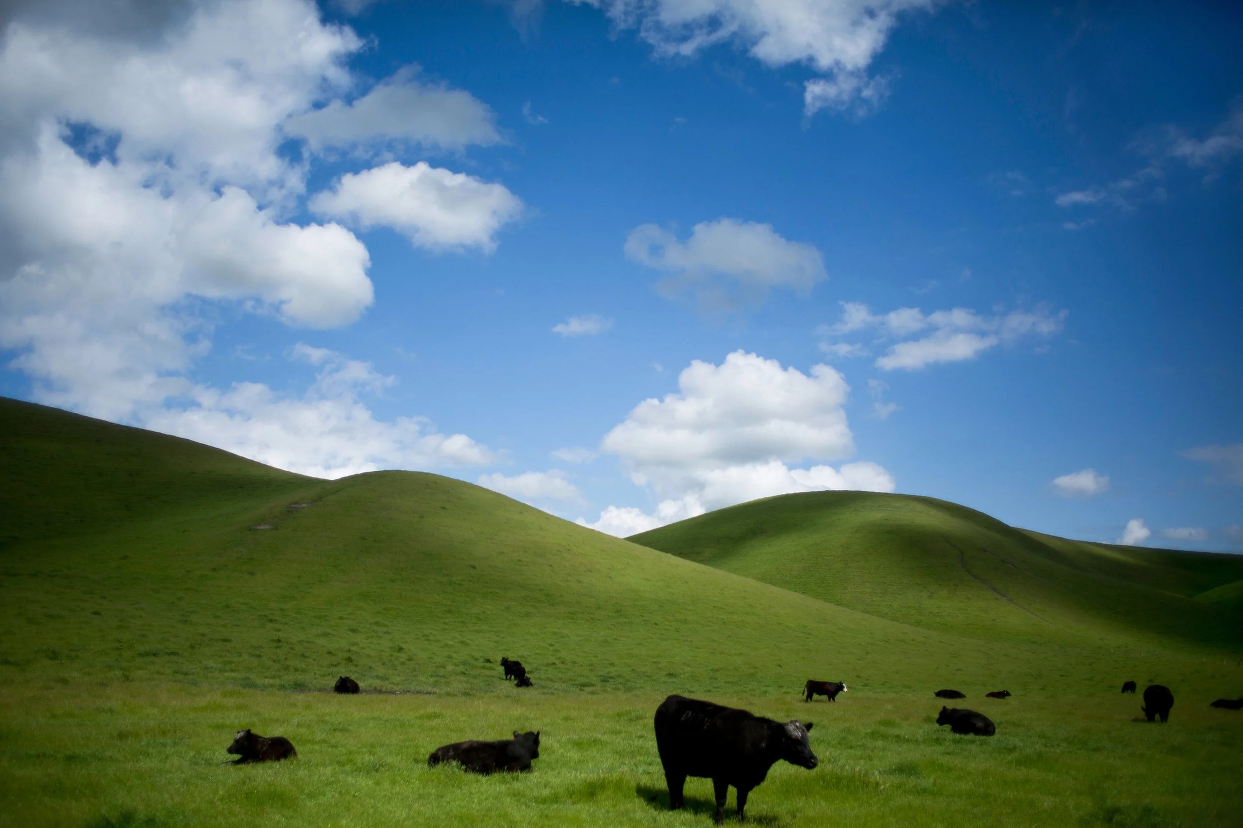 EDGE OF THE WEST_054.JPG