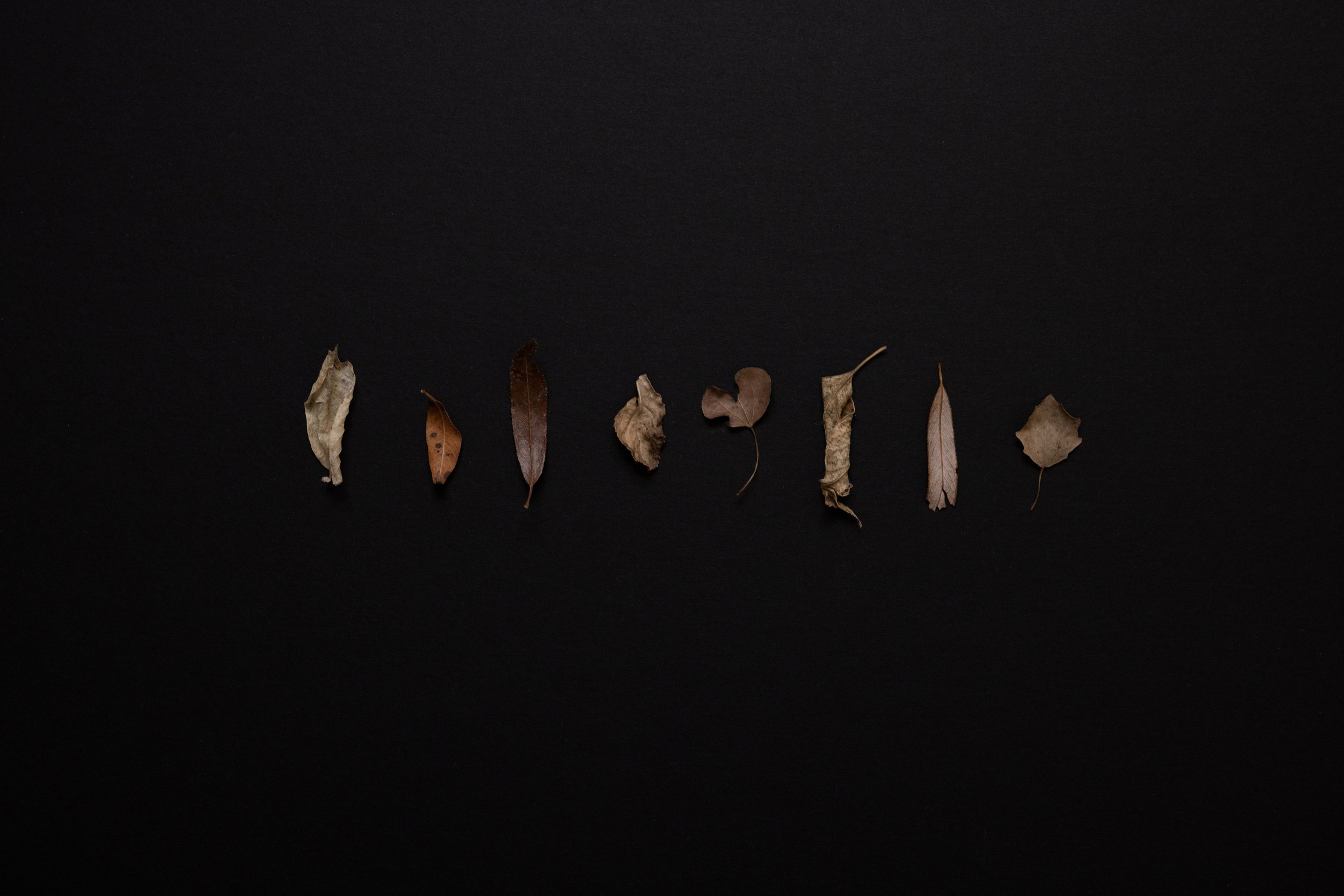 THE FOUND002.JPG
