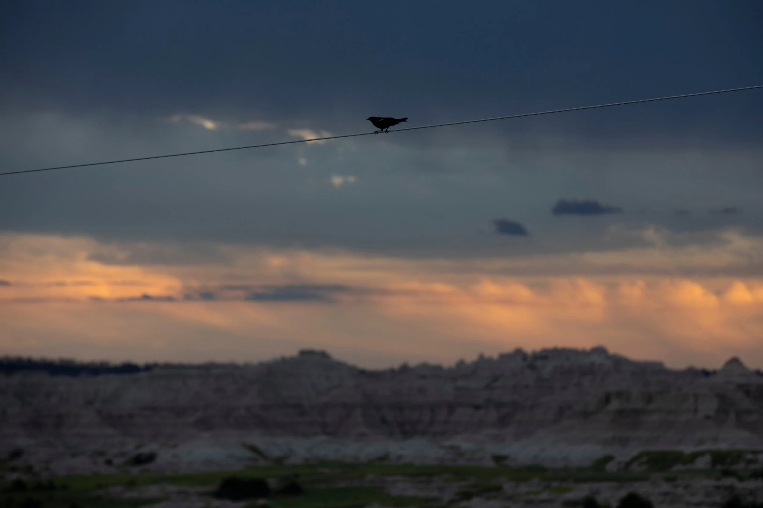 Silhouette of a bird perched on a wire against a dark evening sky with scattered clouds and the Badlands National Park in the distance in South Dakota.