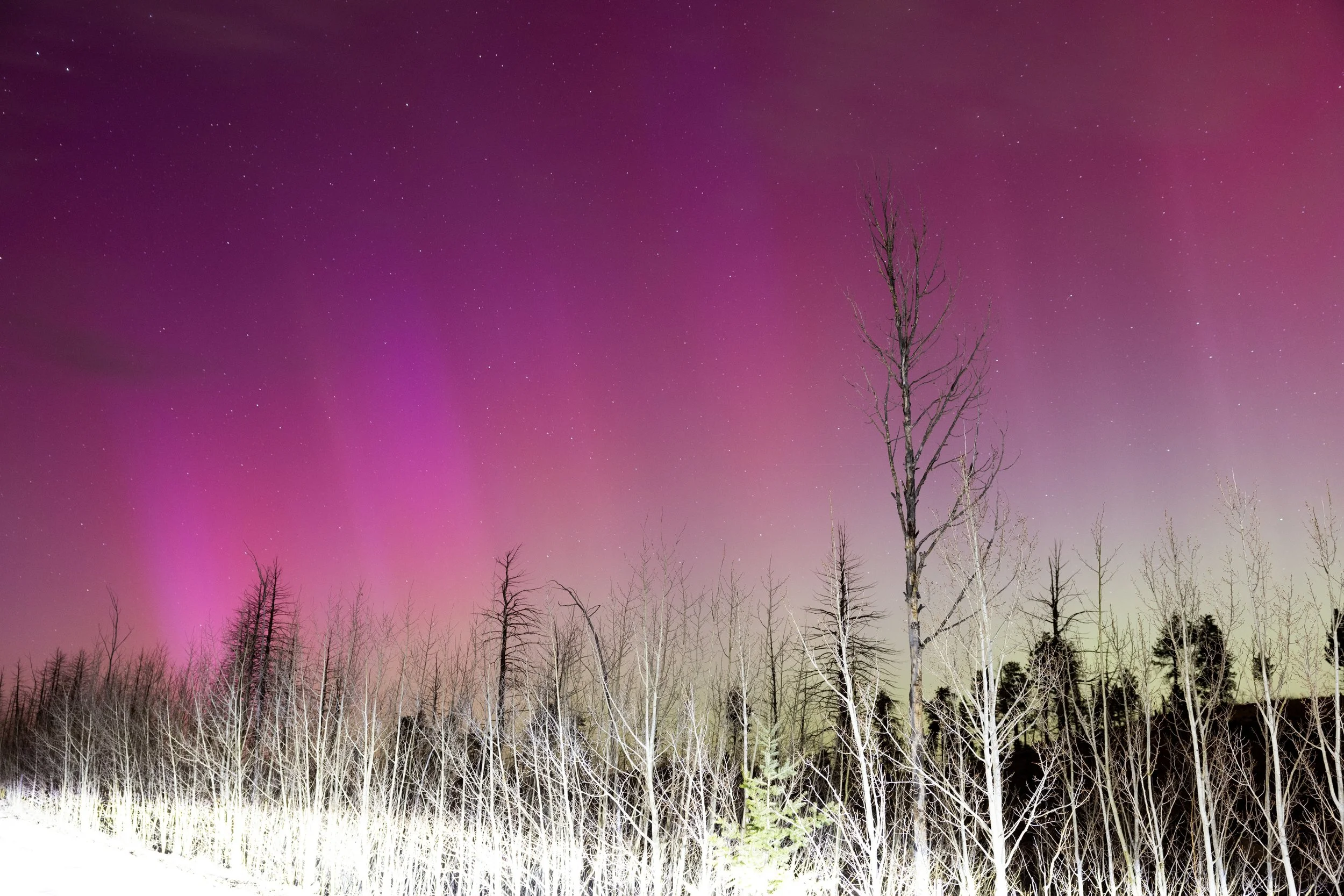 EARTH IS MAGIC047.JPG