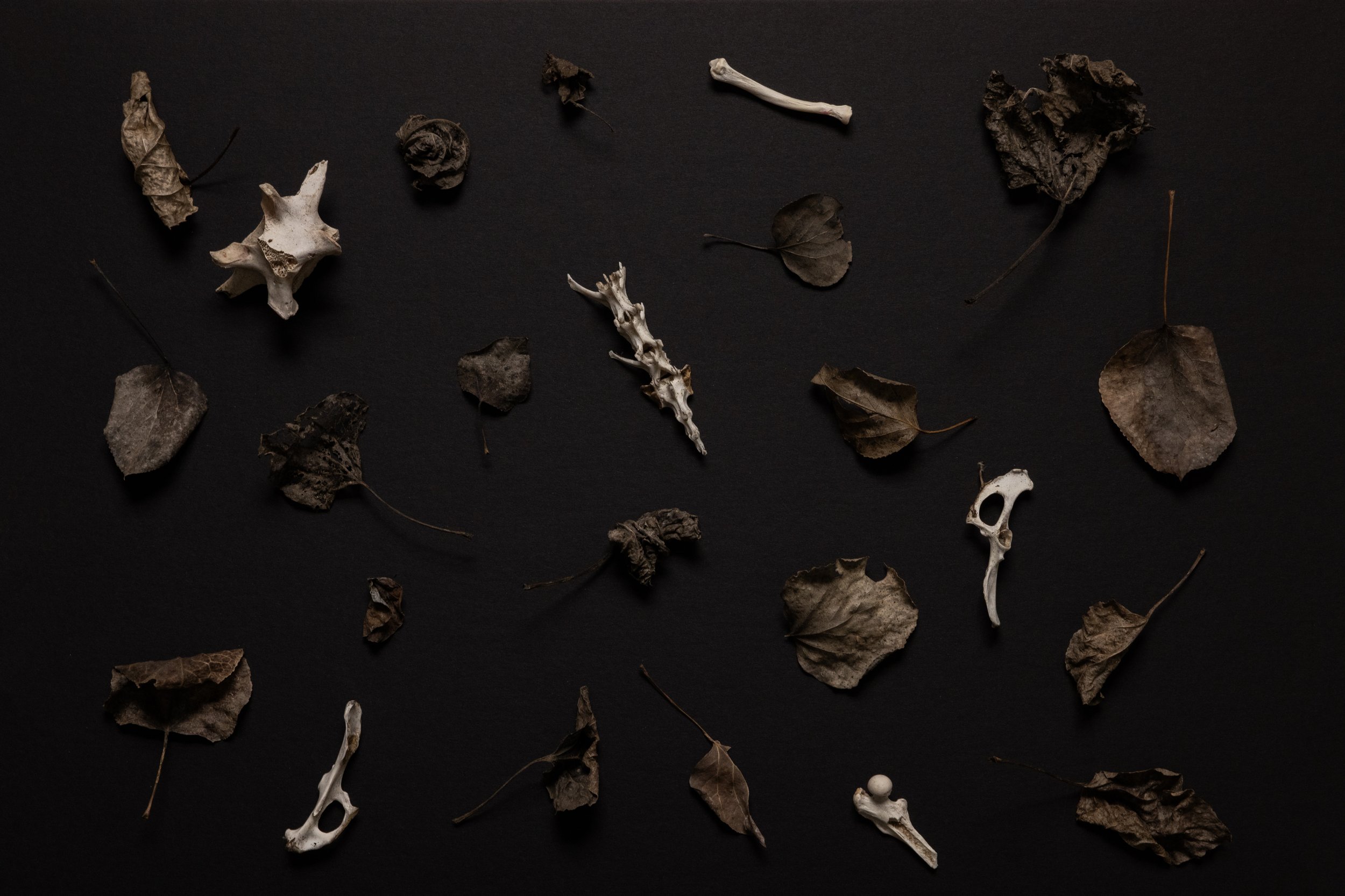 THE FOUND003.JPG