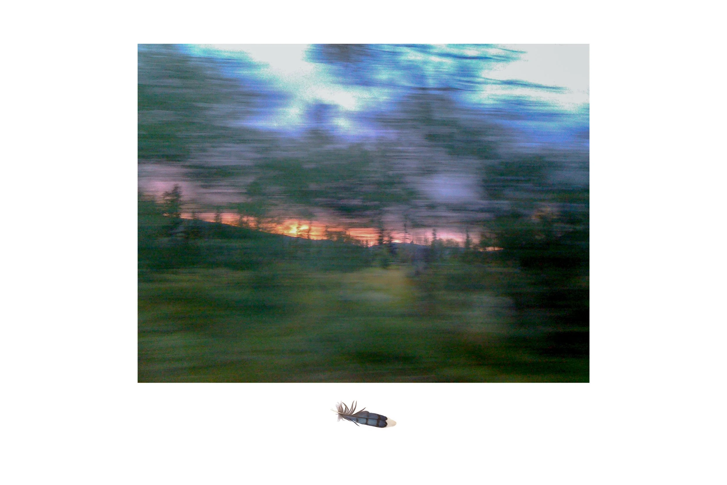 KATIE_2026update_026.JPG