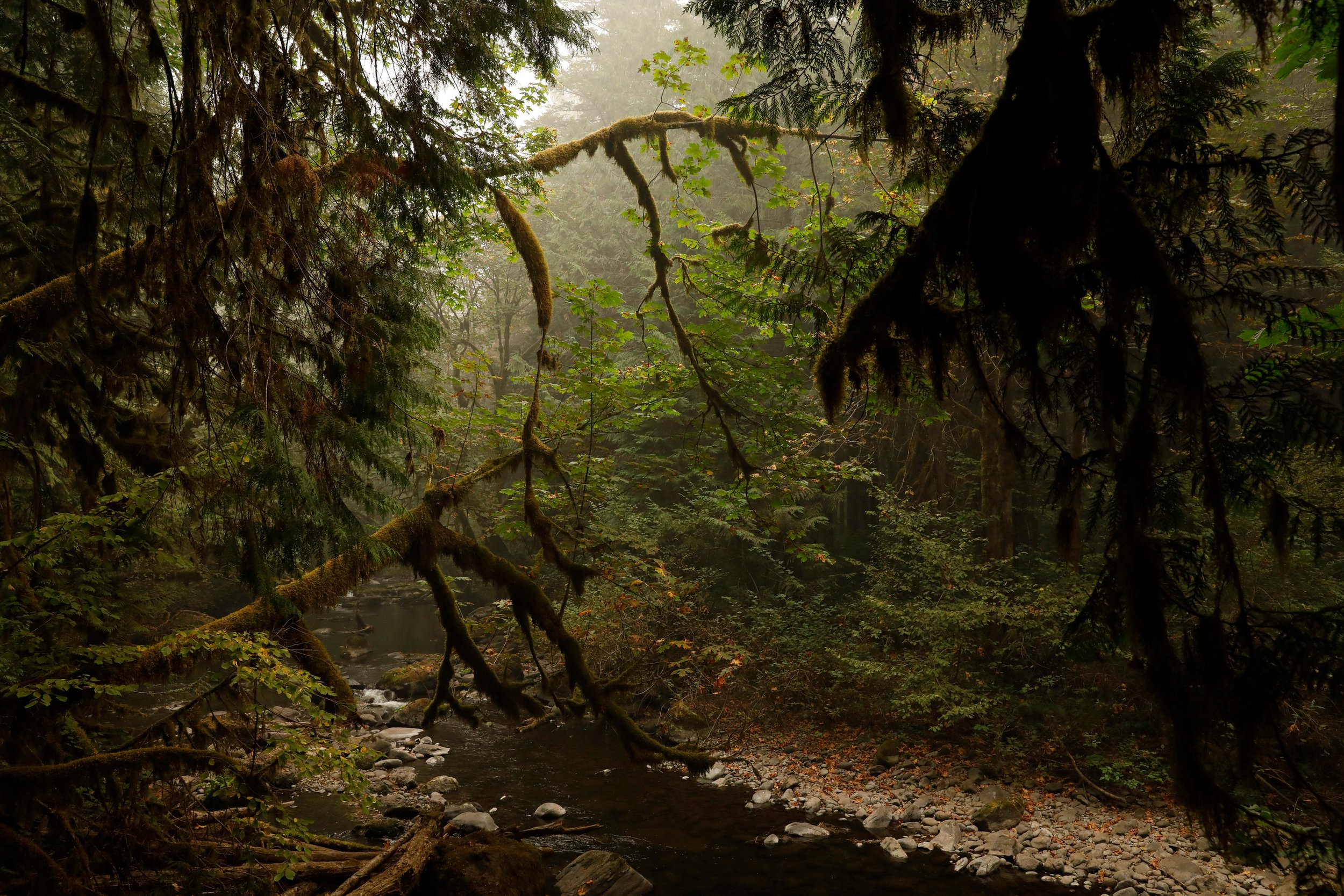 EARTH IS MAGIC031.JPG