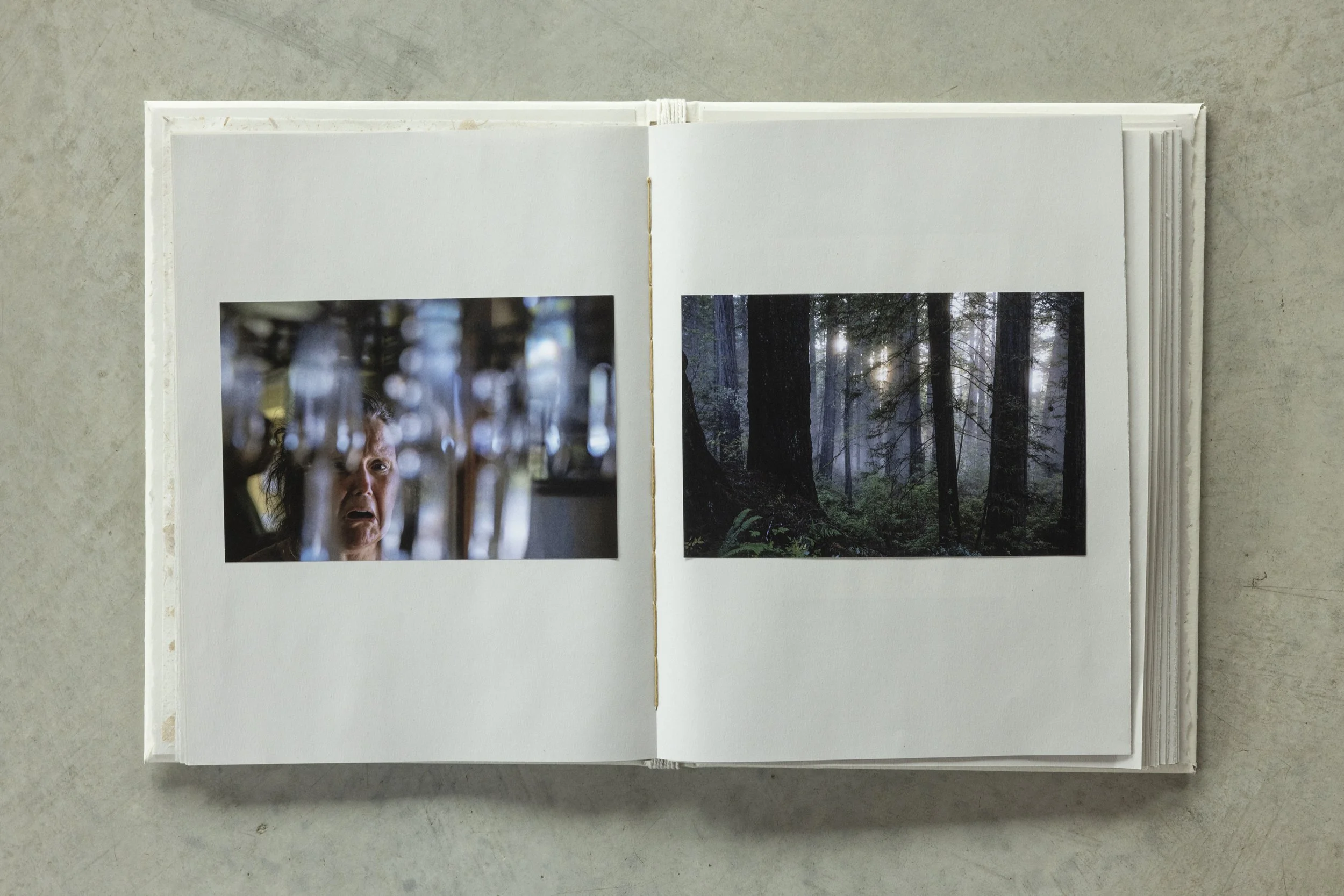 Open photo album with two pages showing photographs. The left page has a portrait of a person, and the right page features a forest scene with trees and sunlight filtering through.