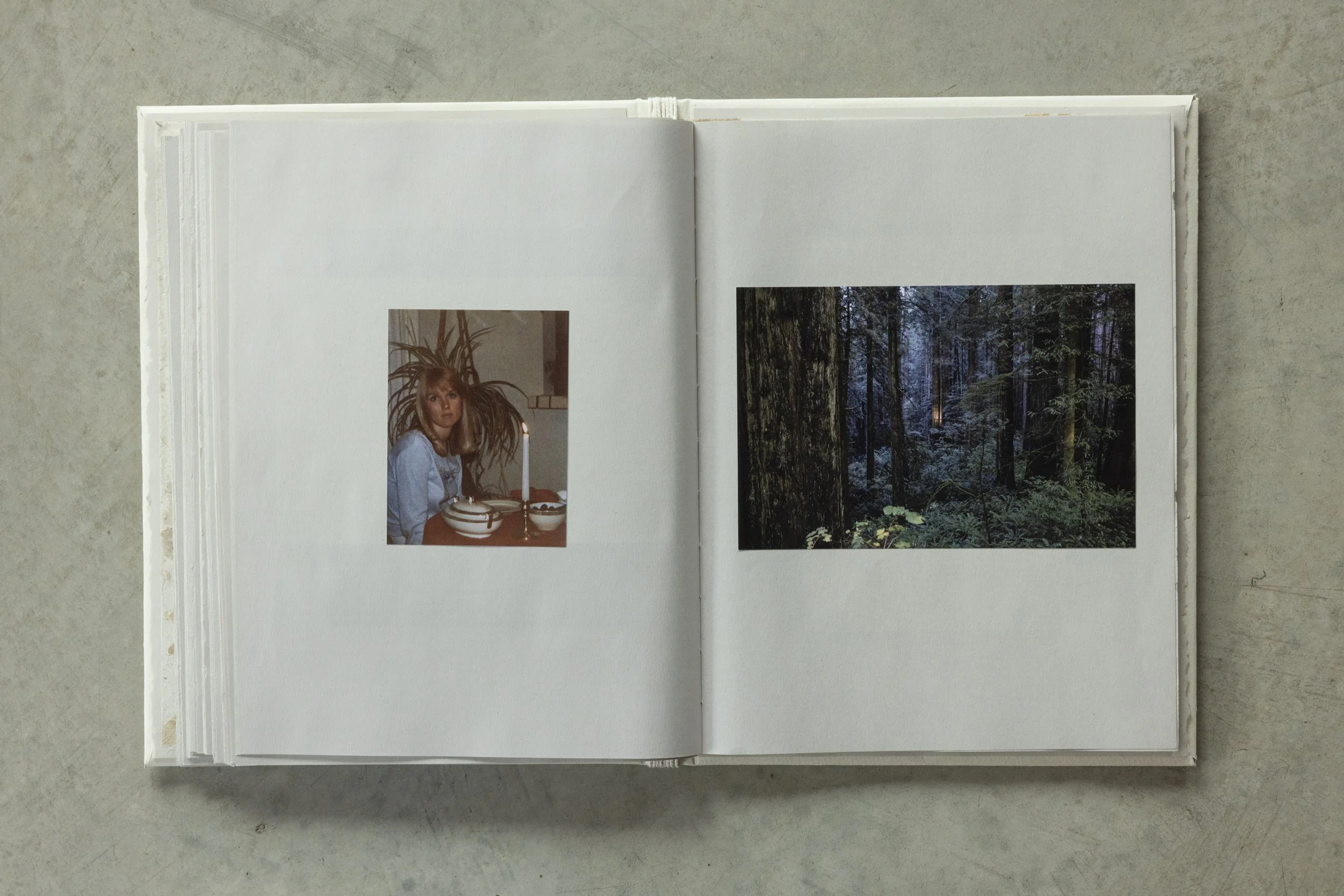 Open photo album showing a picture of a woman with long hair and a potted plant on her head, and a scenic forest photo of tall trees with a path.