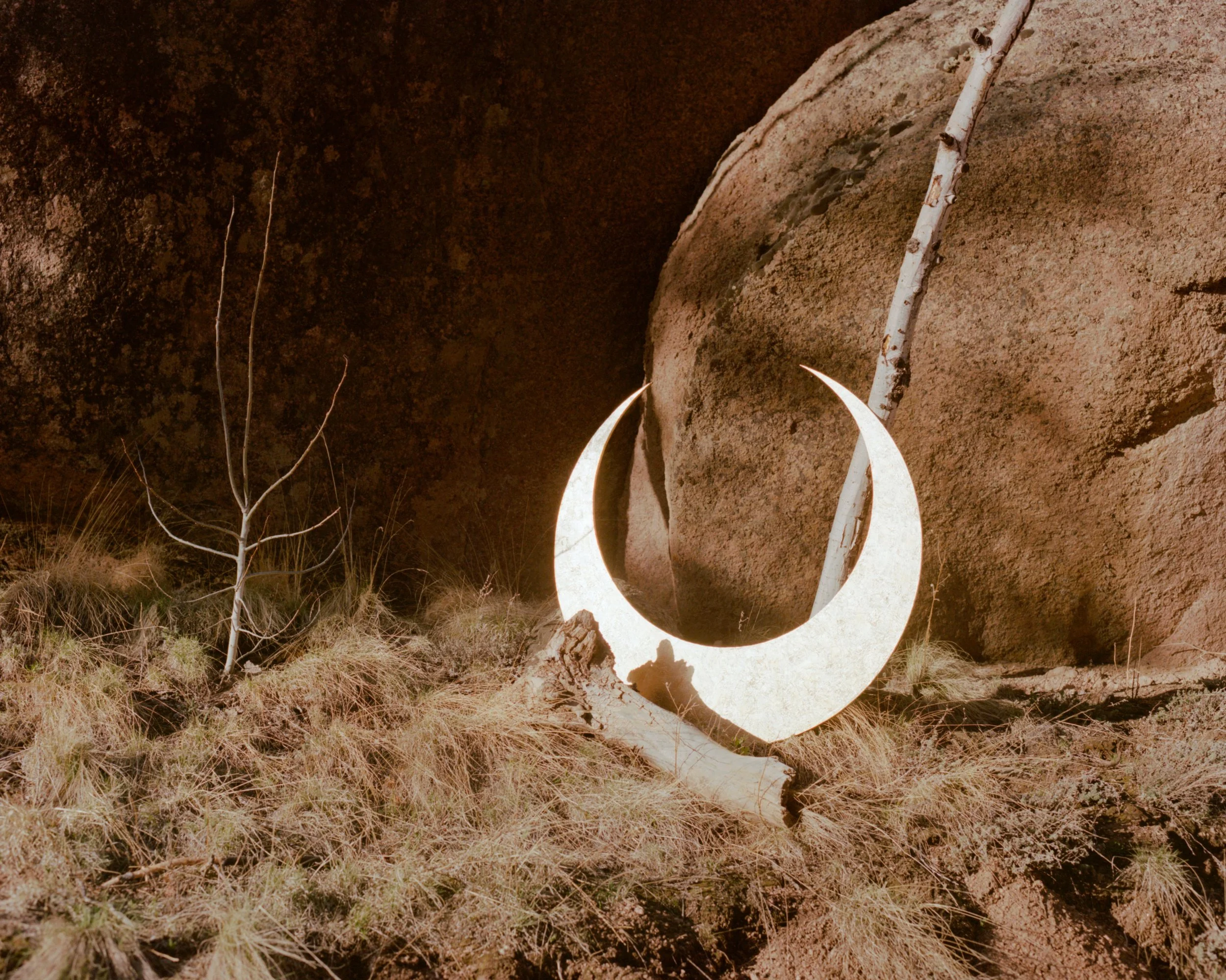 2026_LUCID DREAMING006.JPG
