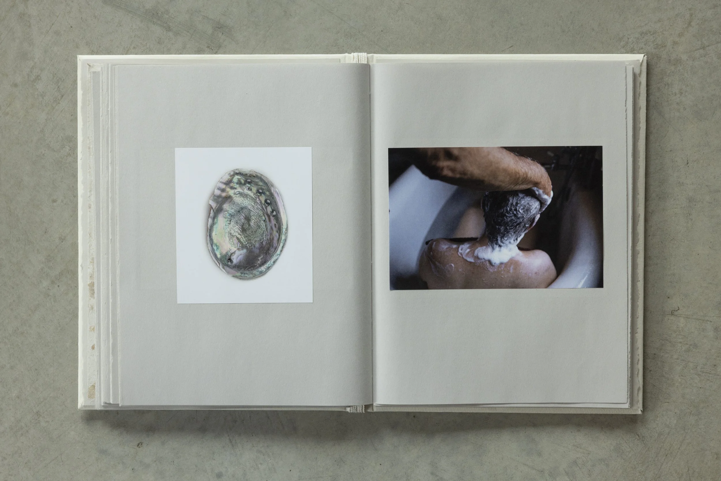 Open photo album shows a page with a painting of an oyster shell on the left and a photograph of someone washing their hair in a sink on the right.