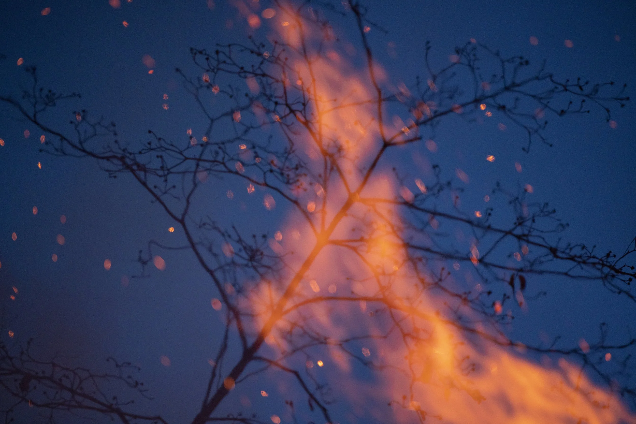 EARTH IS MAGIC048.JPG