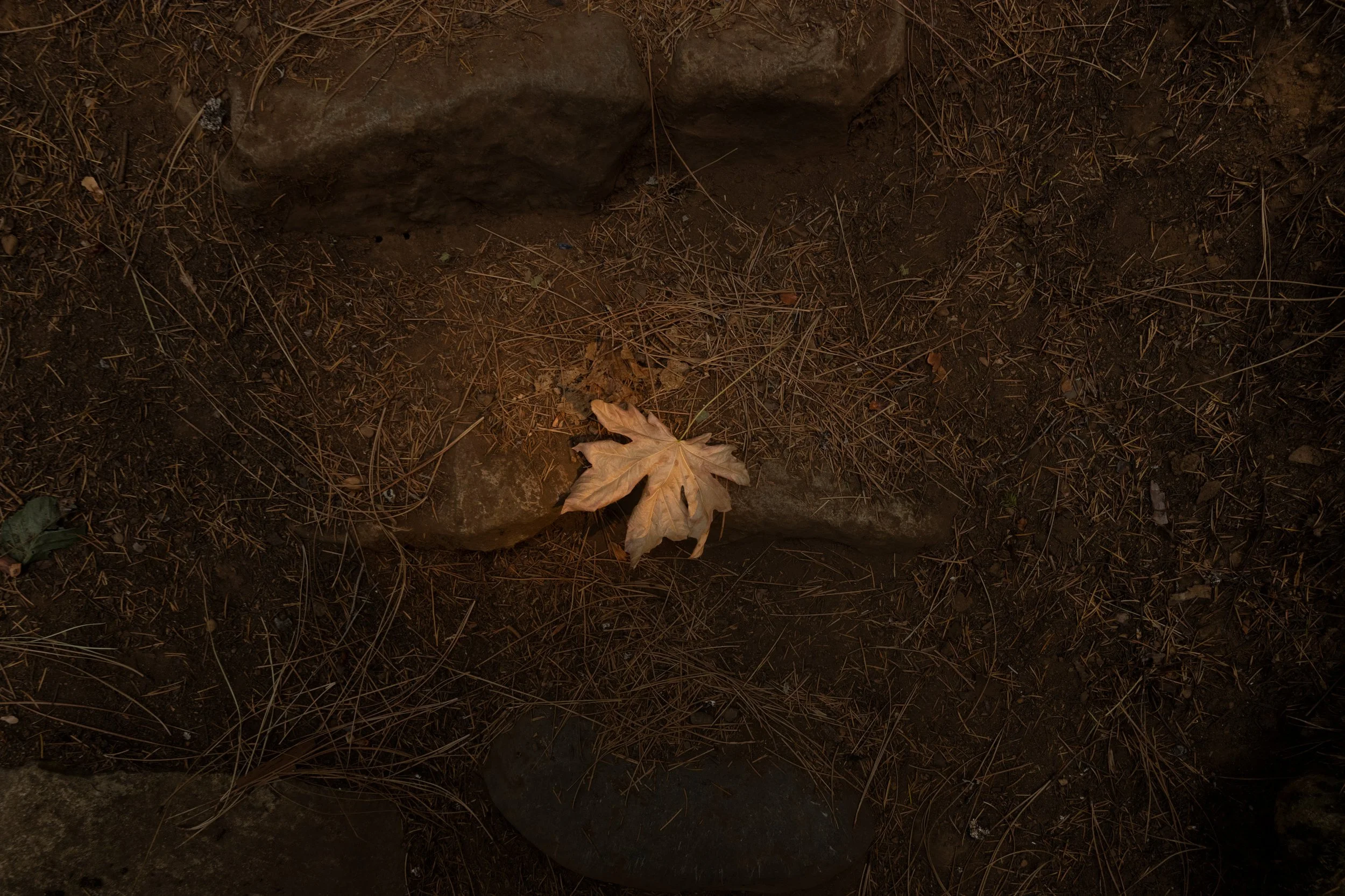 EARTH IS MAGIC013.JPG
