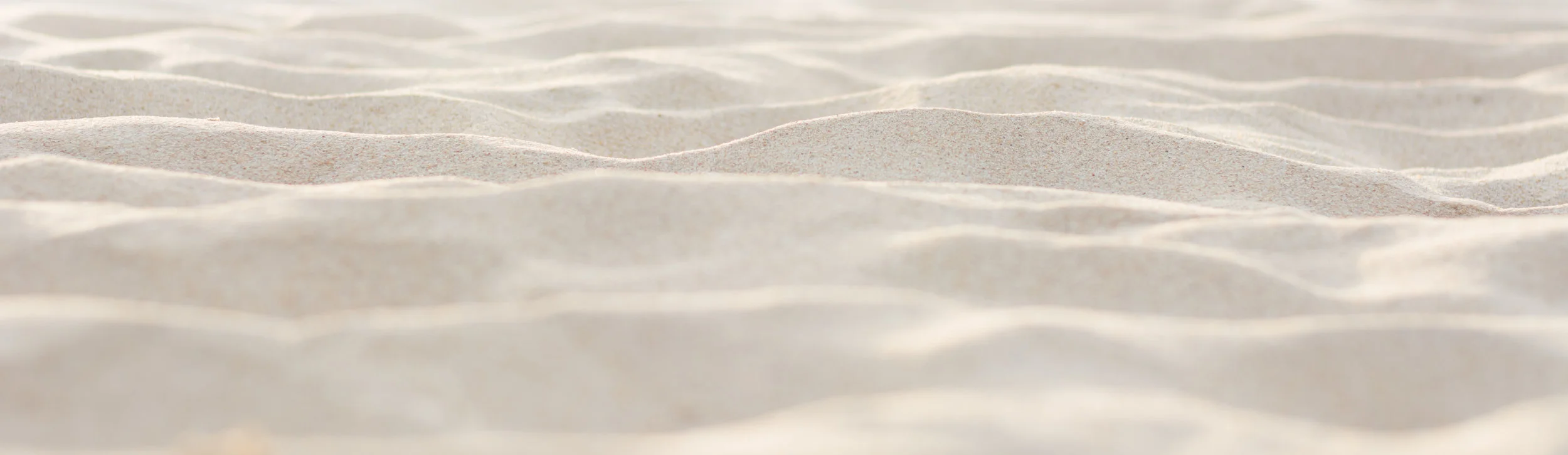 sand-header.jpg