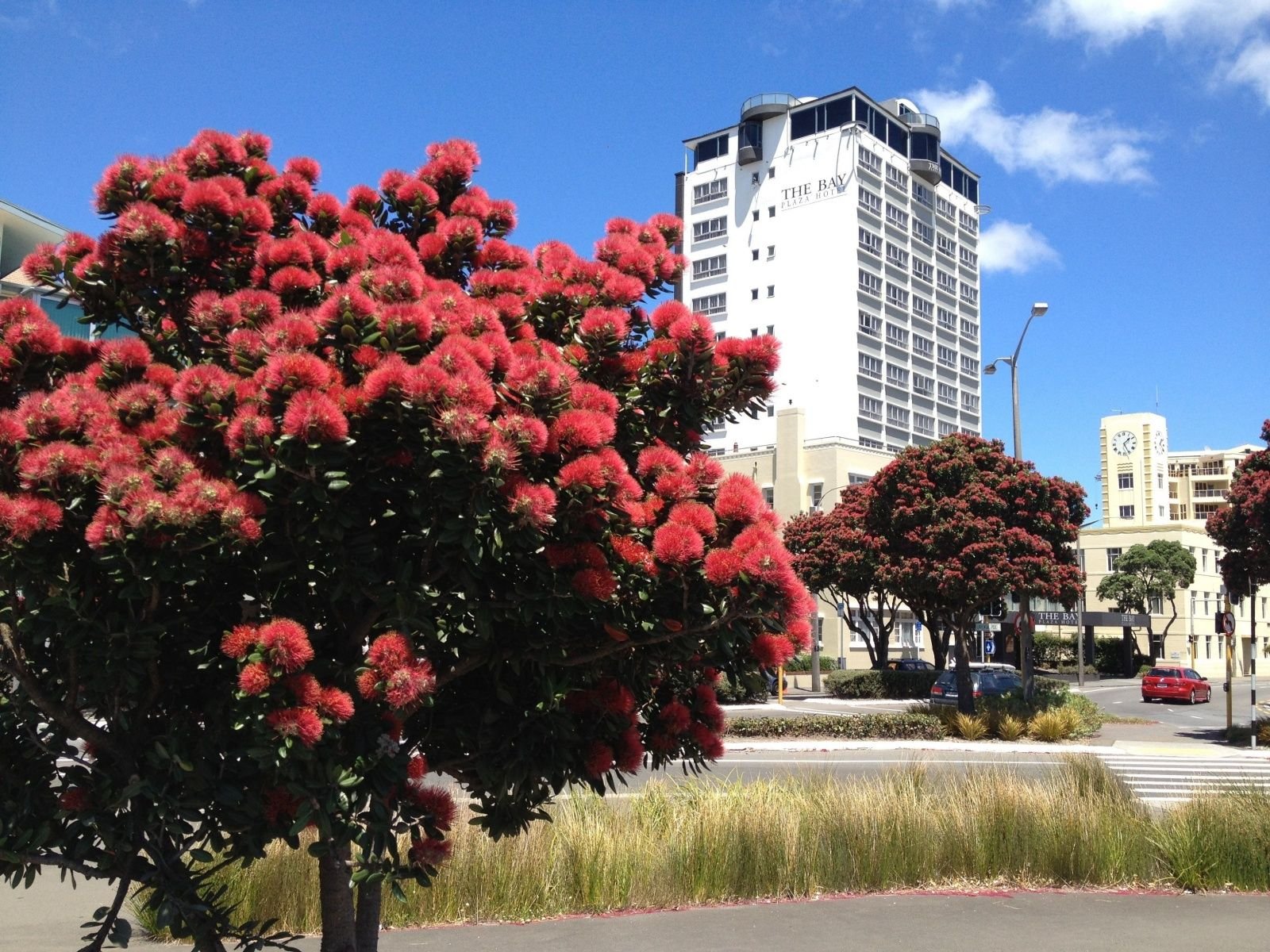 Bay Plaza Hotel Exterior