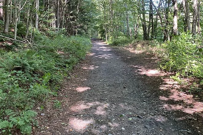 parksville rail trail.jpeg