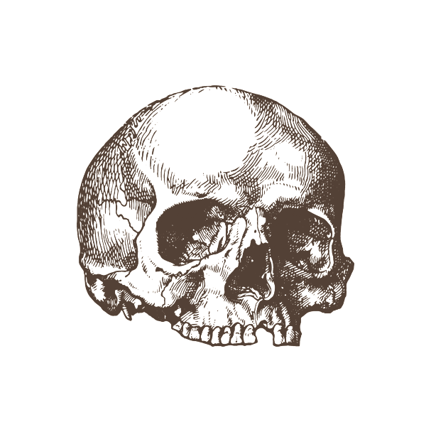 d_composition | maya love