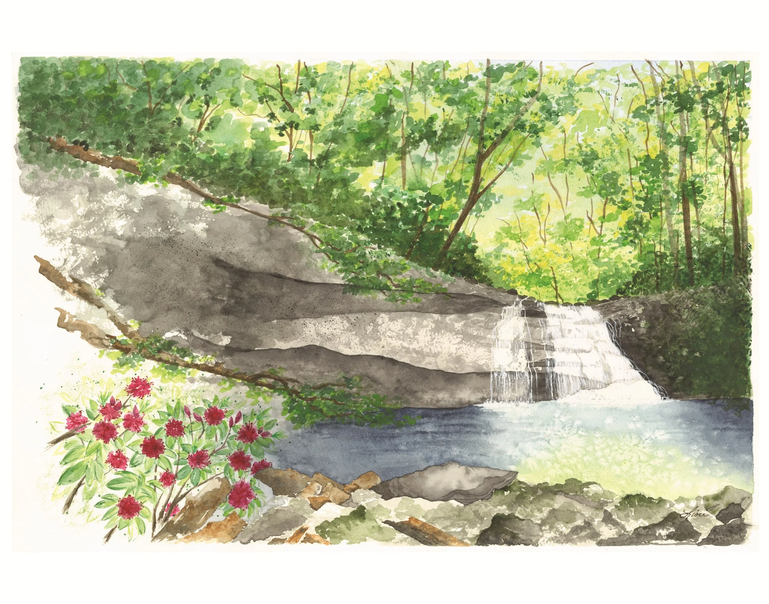 A forest scene with a waterfall in the distance surrounded by rocks, logs, and trees. In the foreground are logs, rocks, and blooming red Rhododendrons.