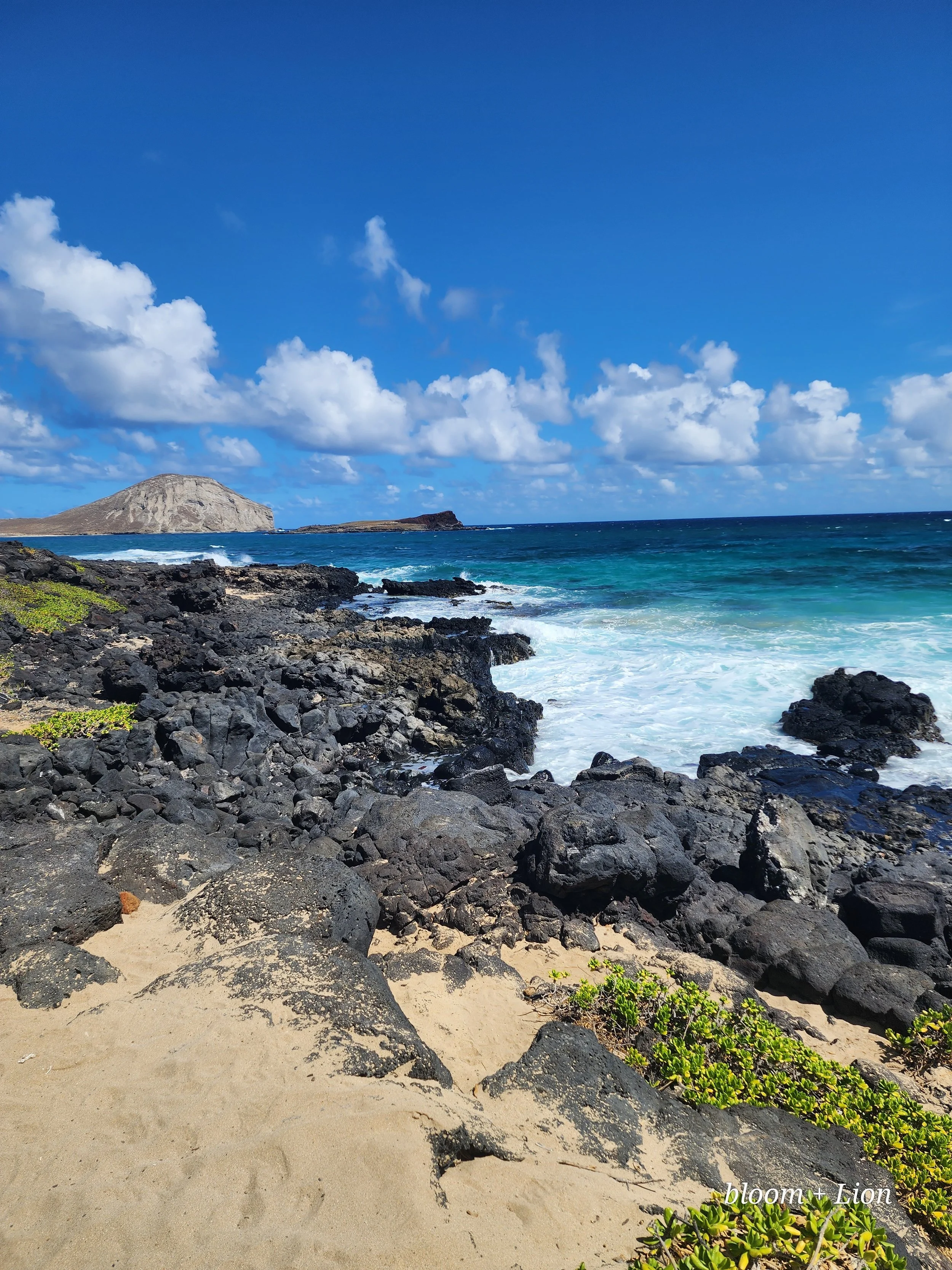 Mystical Ocean - 2/6/26