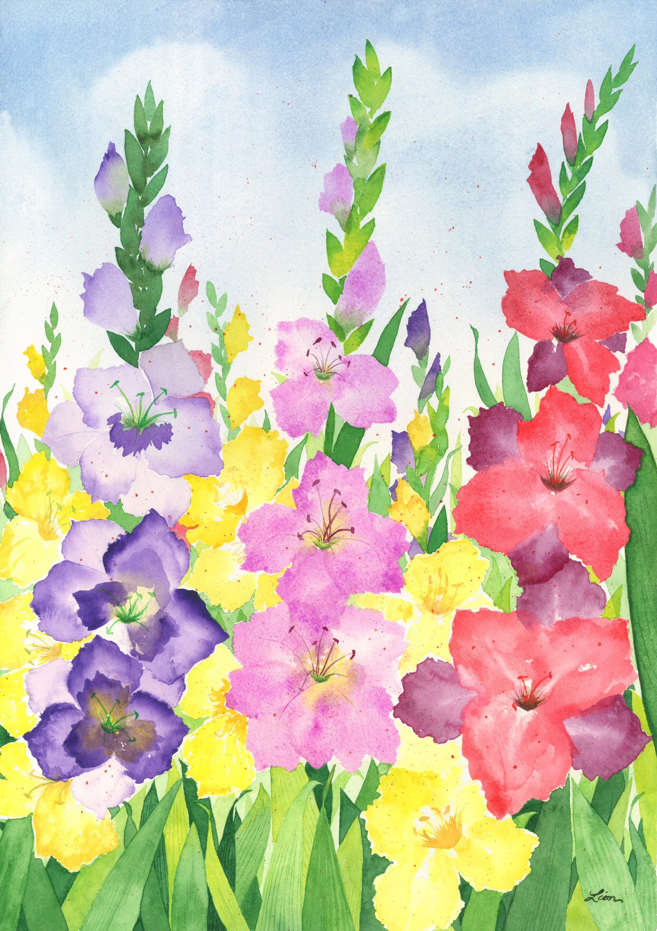Blooming purple, pink, red, and yellow Gladiolas  grow next to each other under a blue sky with white clouds. The stalks are surrounded by many green leaves. 