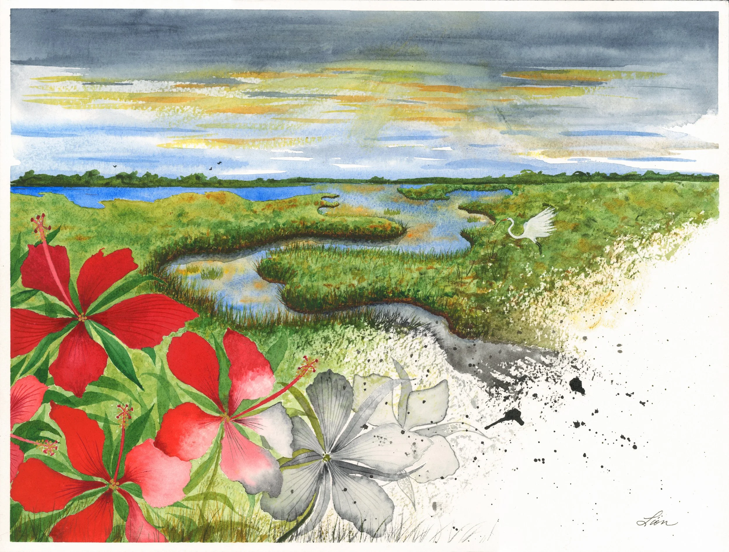 A marshy landscape  under cloudy skies at sunset. There are scarlett rose mallow blooming one one side with some blooms dying across the landscape. 