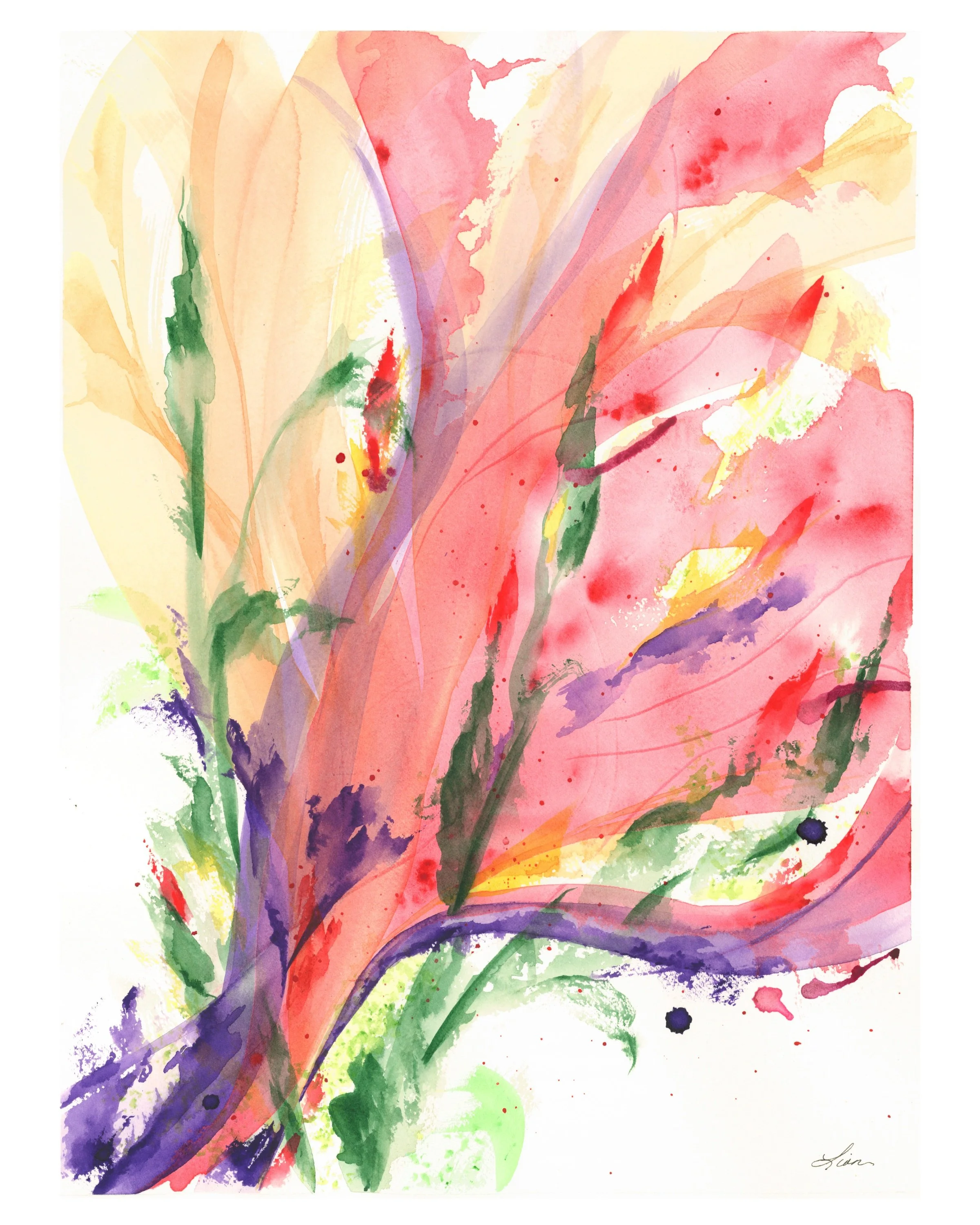 A detailed view of a blooming Iris flower with petals of red, pink, purple, and yellow with green buds and leaves.