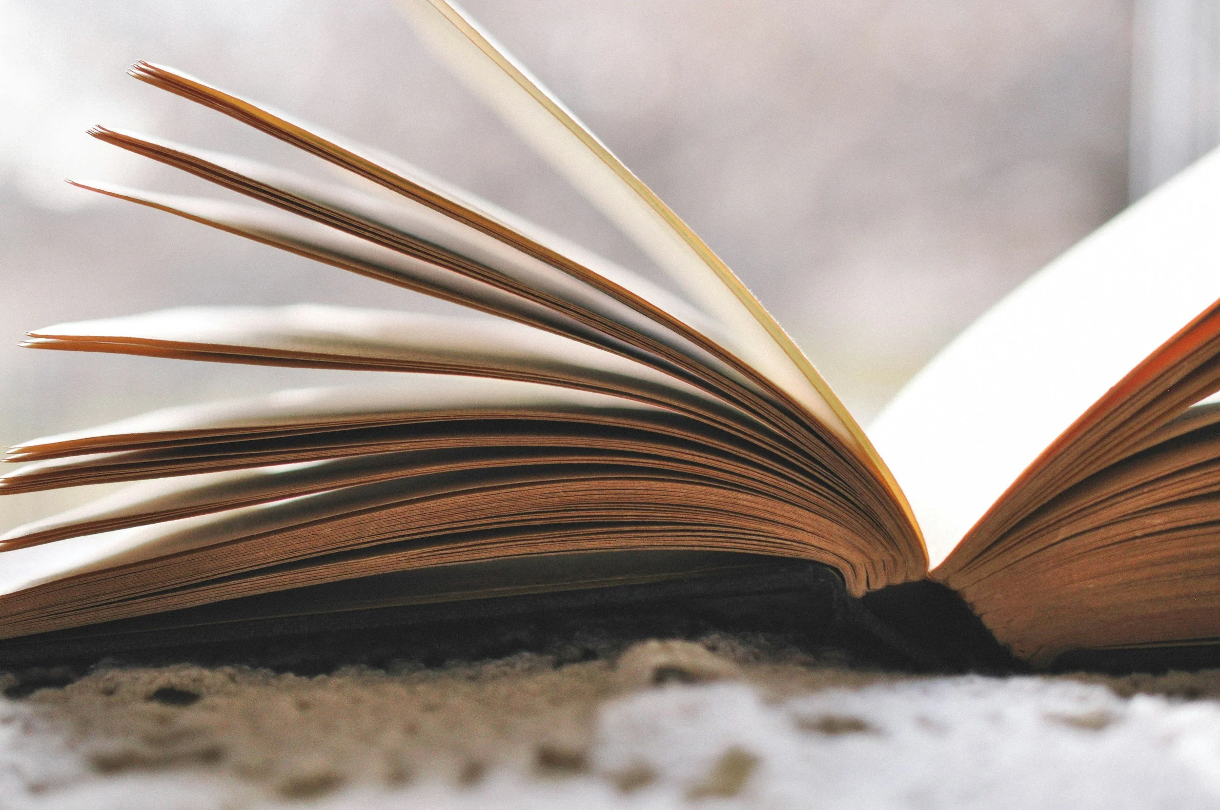 September Book Club with Working Moms of San Antonio