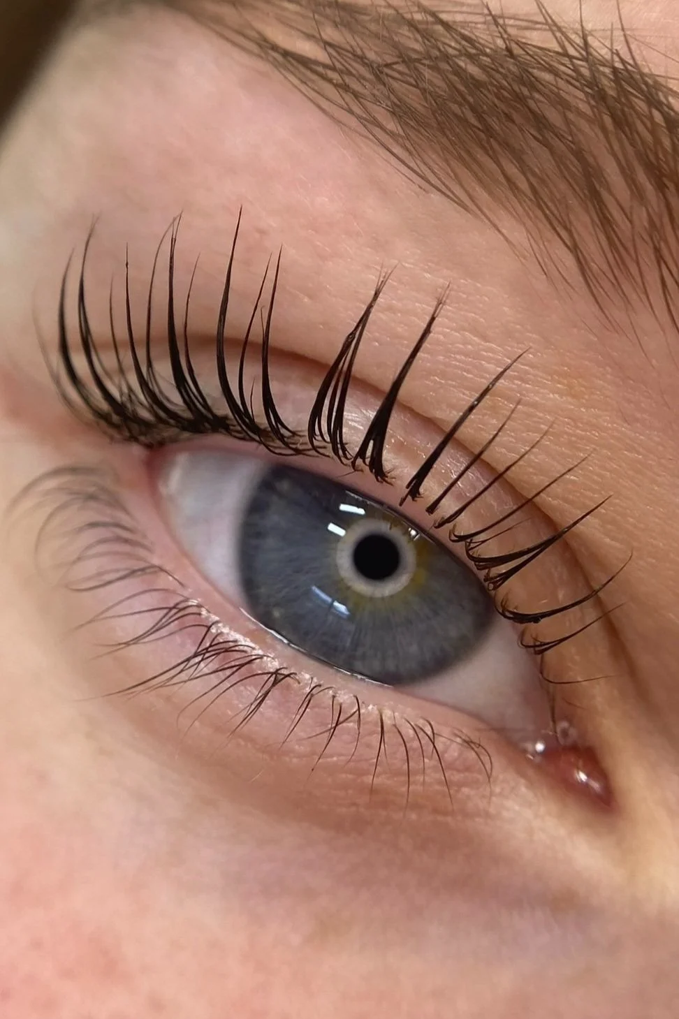 Close-up of a person's eye with long eyelashes, after receiving a lash lift and tint service , lash lift with aftercare applied, done at Face Avenue, in Marion 5043, adelaide, south australia