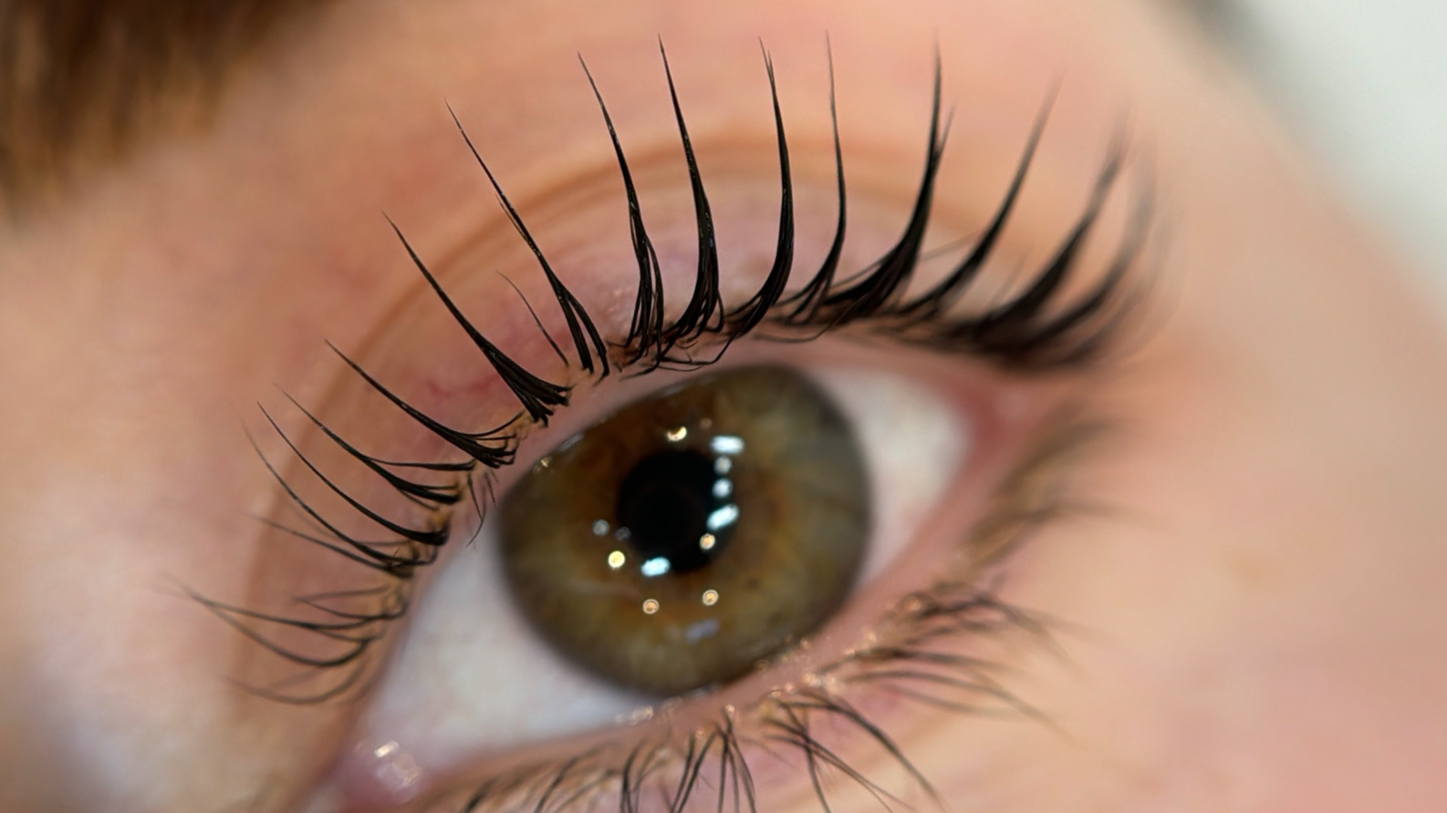 Close-up of a person's eye with long eyelashes, after receiving a lash lift and tint service , lash lift with aftercare applied, done at Face Avenue, in Marion 5043, adelaide, south australia