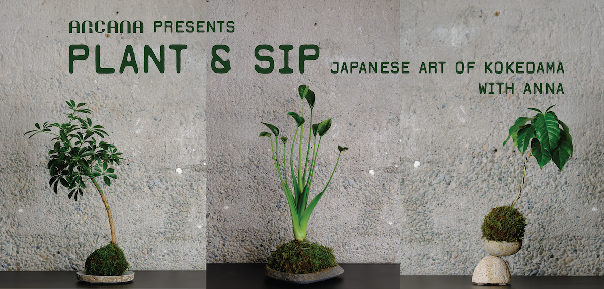 Plant & Sip