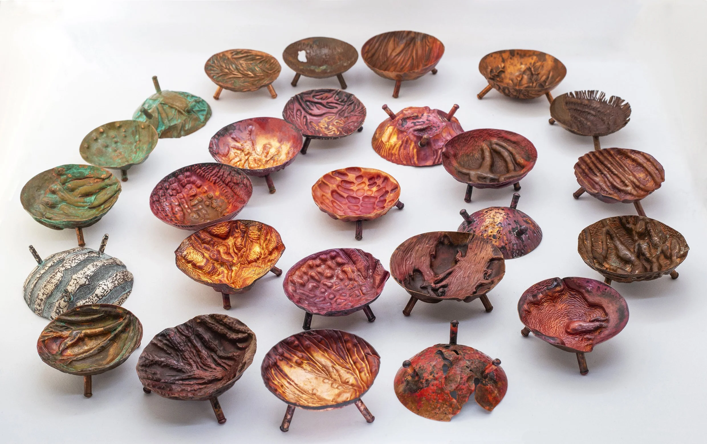 Flying Arts Queensland Regional Art Awards (QRAA) - Momentum Finalist