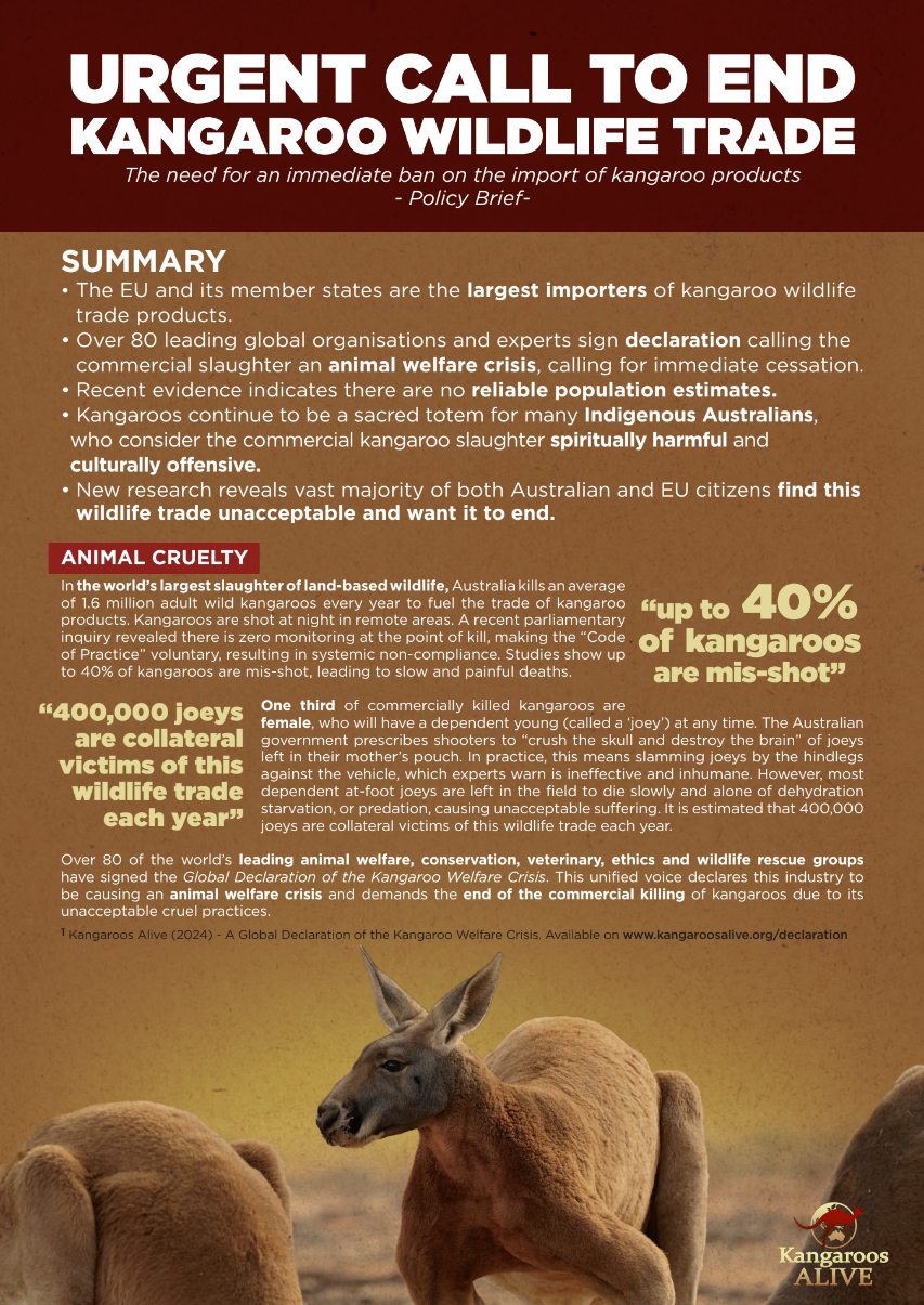 Kangaroo Briefing for Europe