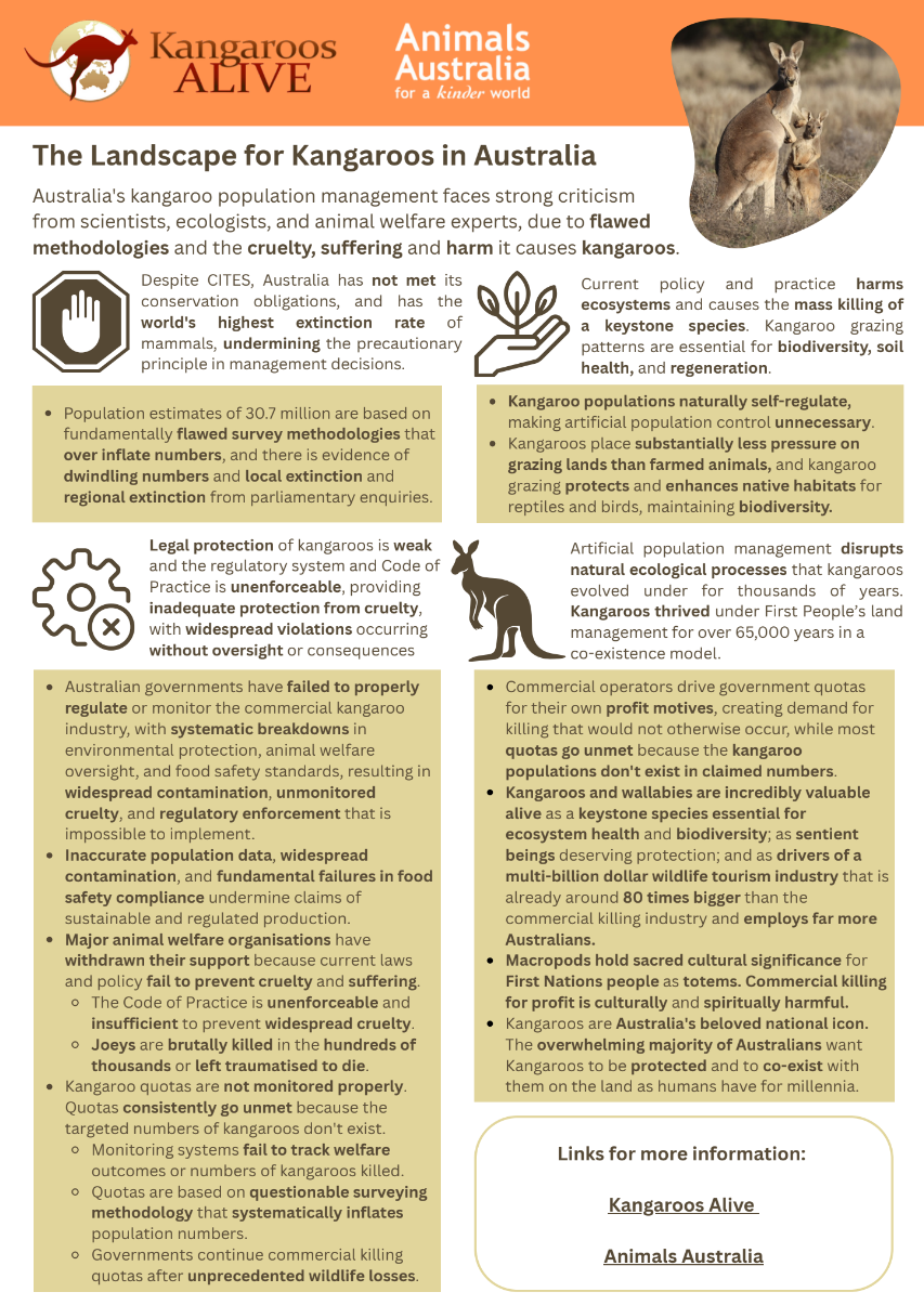 The Landscape for Kangaroos in Australia