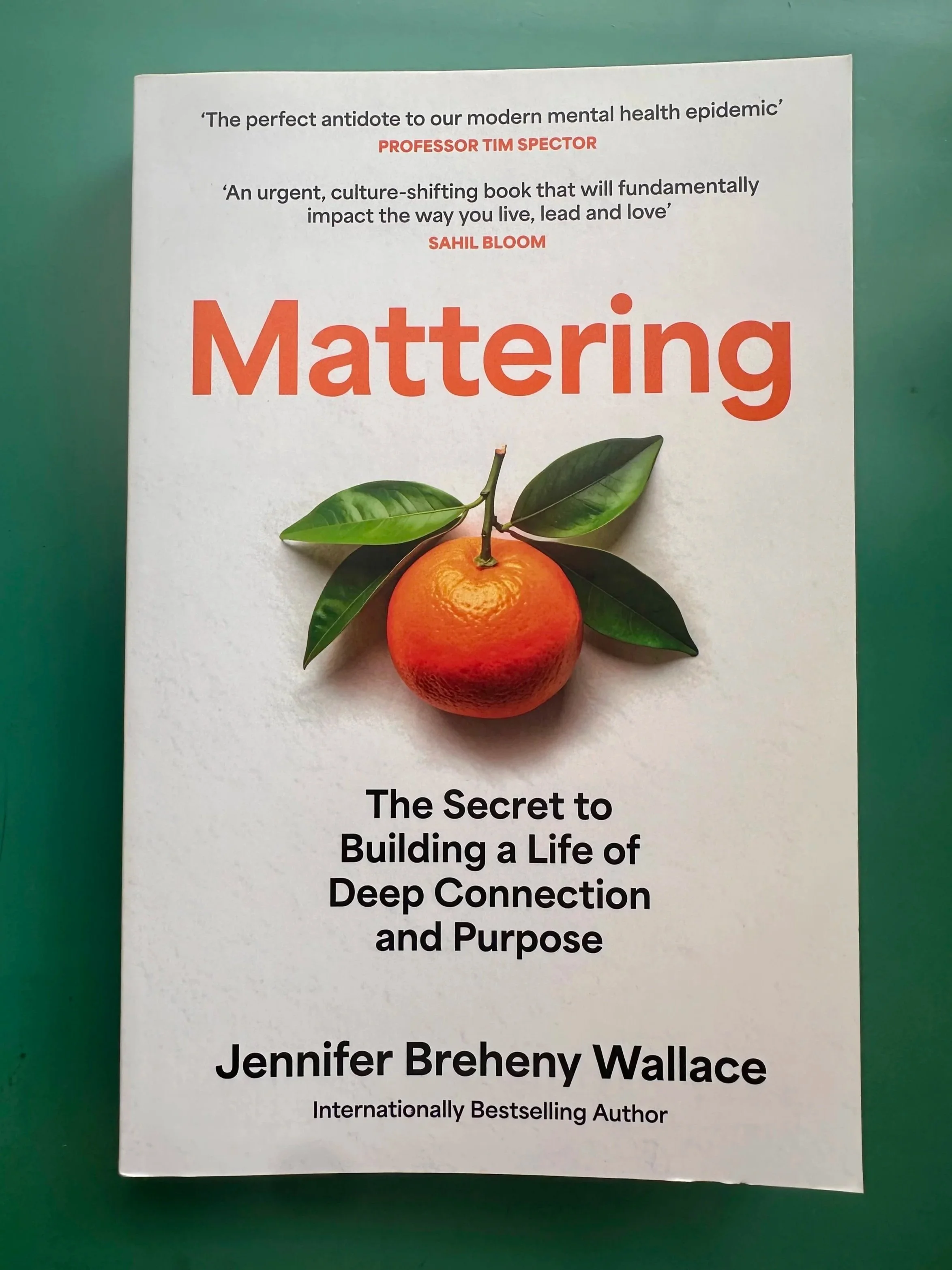Mattering by Jennifer Breheny Wallace