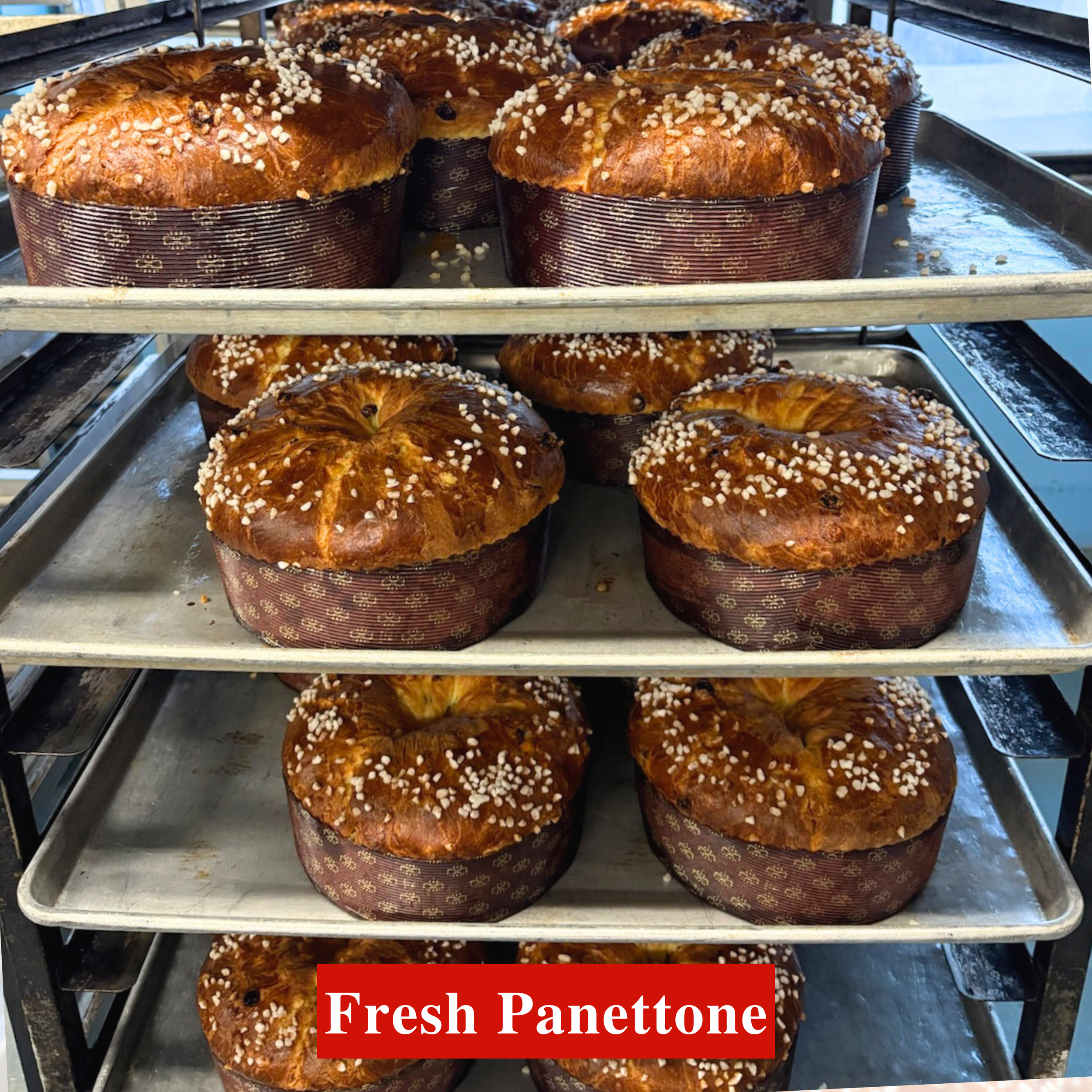Panettone.png