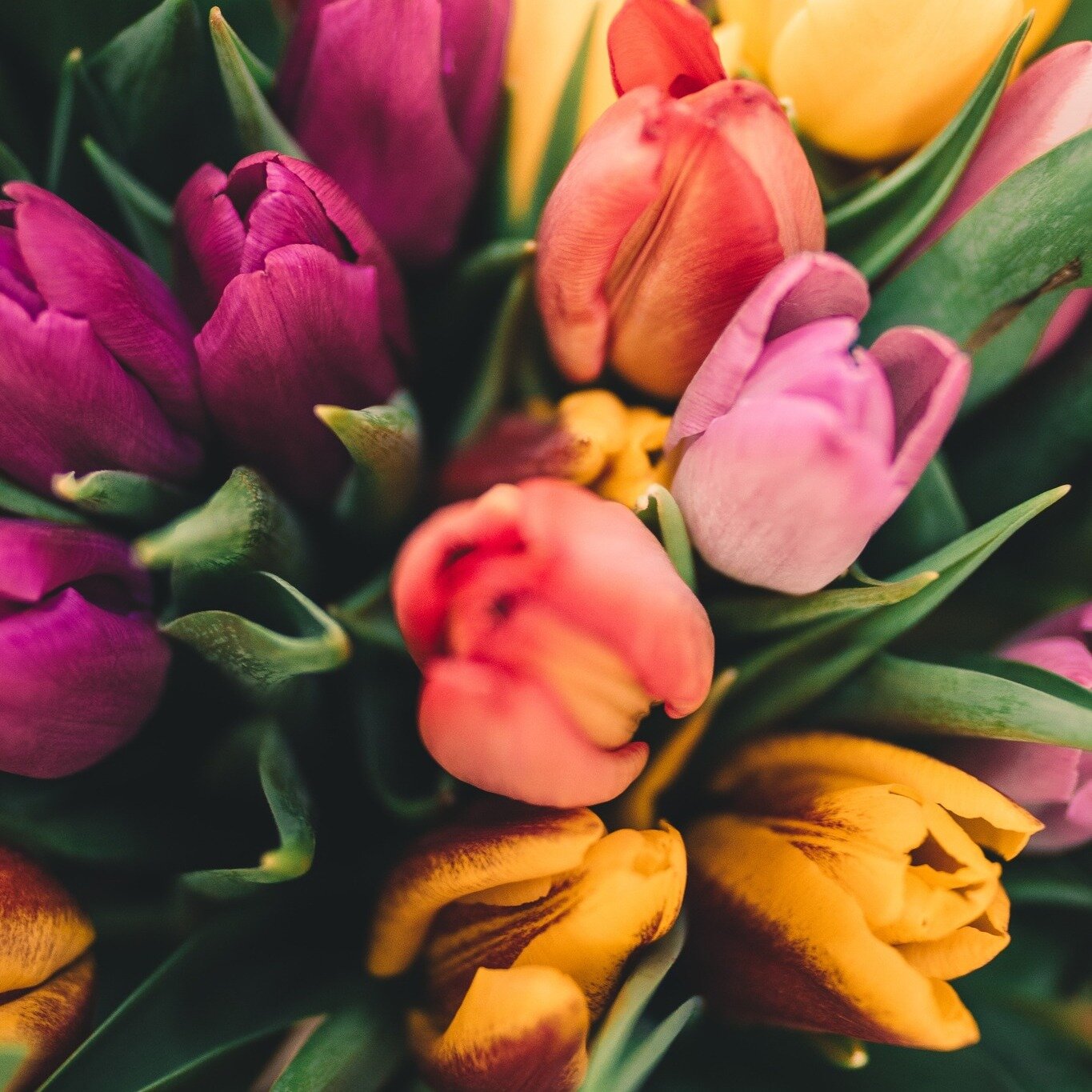 De plus en plus de fleurs commencent &agrave; &eacute;clore dans les jardins, et cela pour le plus grand bonheur de notre nez 👃 Et vous, quelle est votre fleur pr&eacute;f&eacute;r&eacute;e ? 💐

#marketingolfactif  #olfaction #scentmarketing #creat