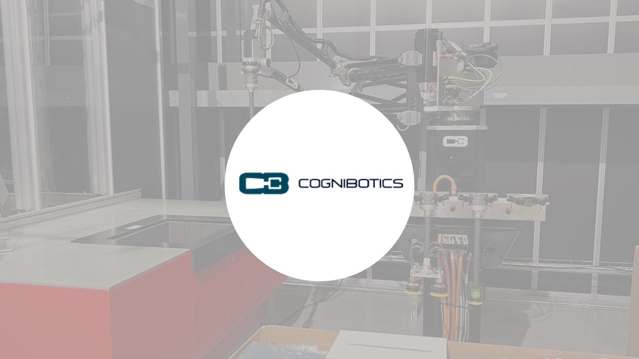 Cognibotics