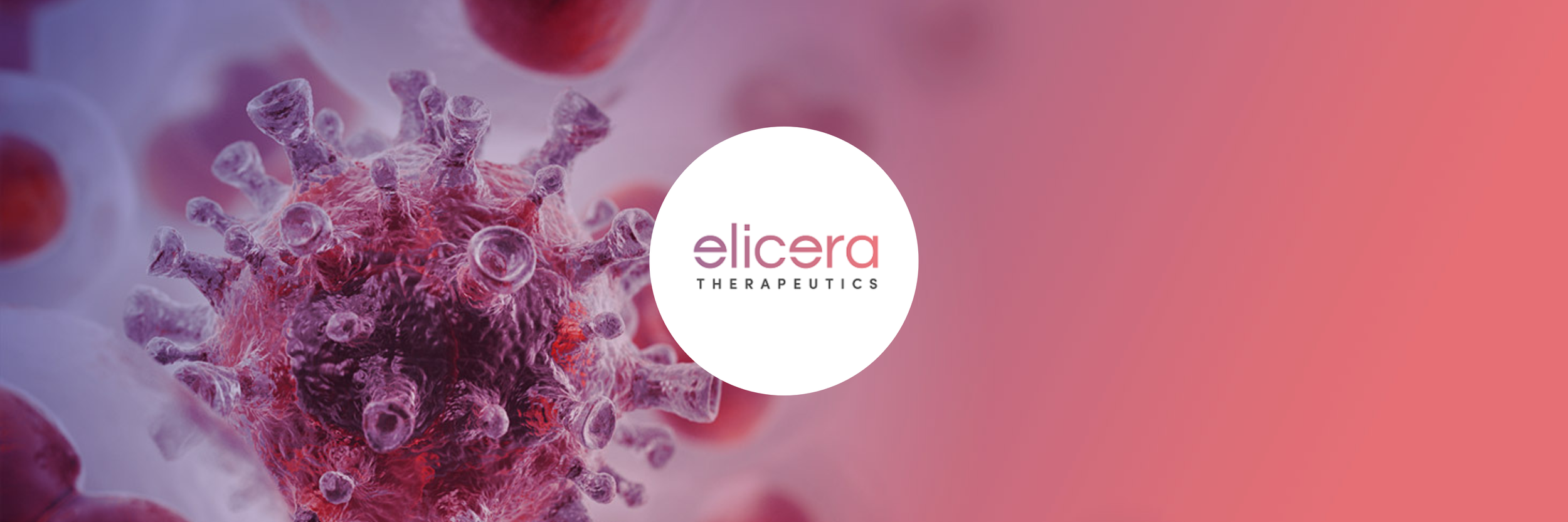 Elicera Therapeutics got 2.5 MEUR grant to finance a clinical phase I/II-trial with CAR T-cell therapy