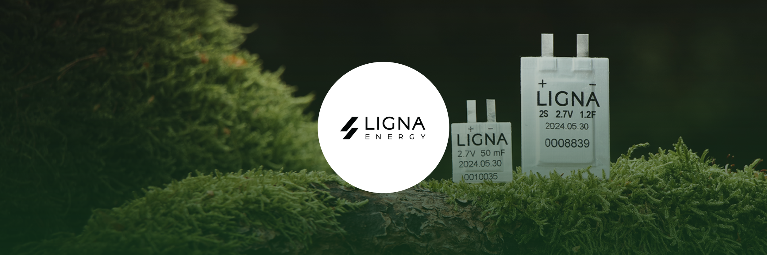 Ligna 
