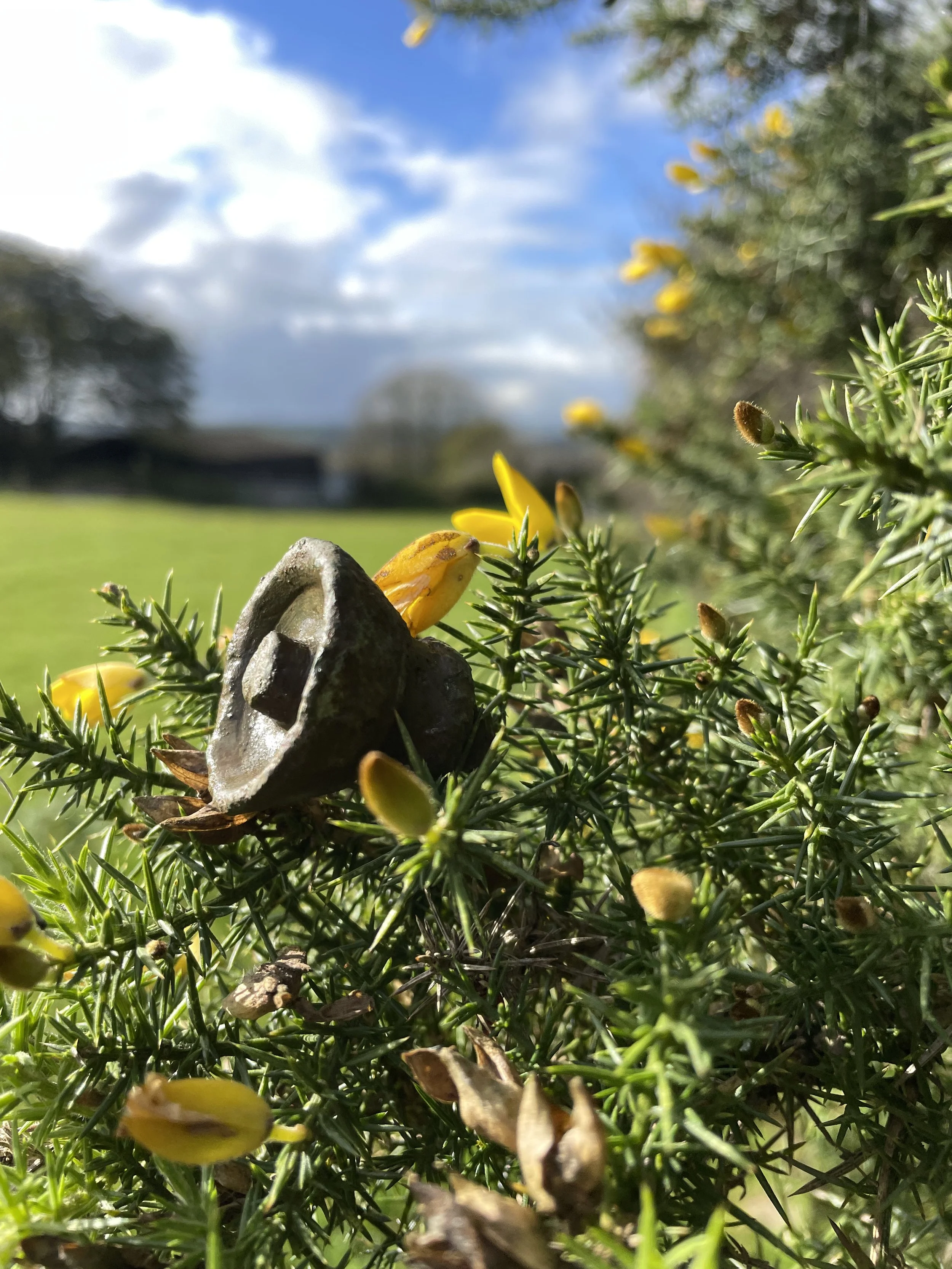 ROMANS ON ANCIENT DARTMOOR