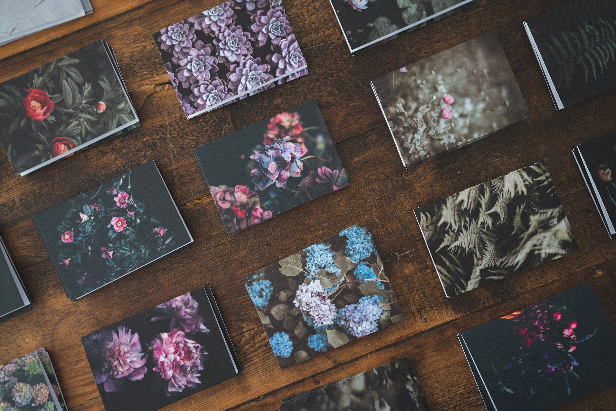 Clear Steer: CARD READING 6th NOvember 2023