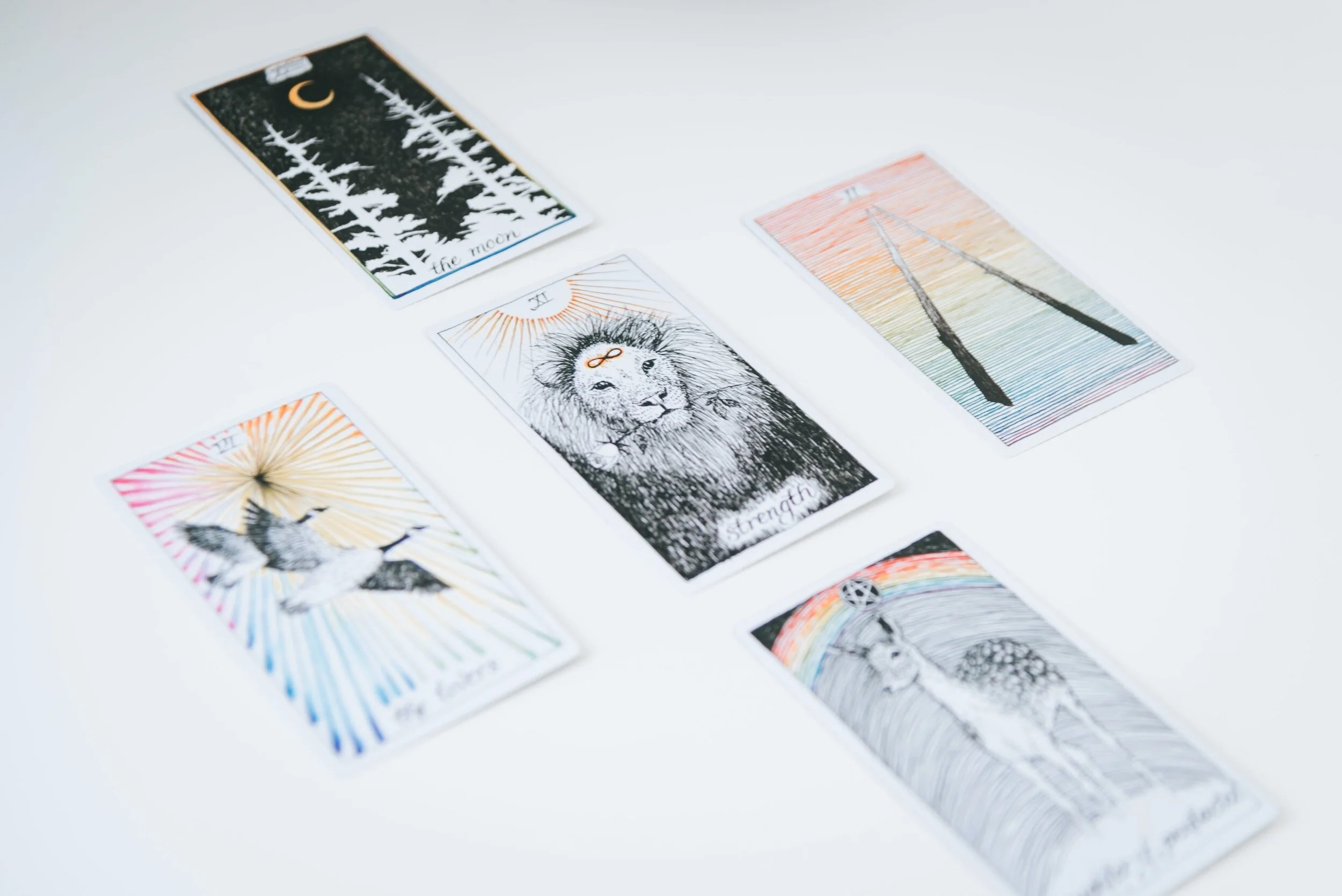 Clear Steer: CARD READING 22nd January 2024