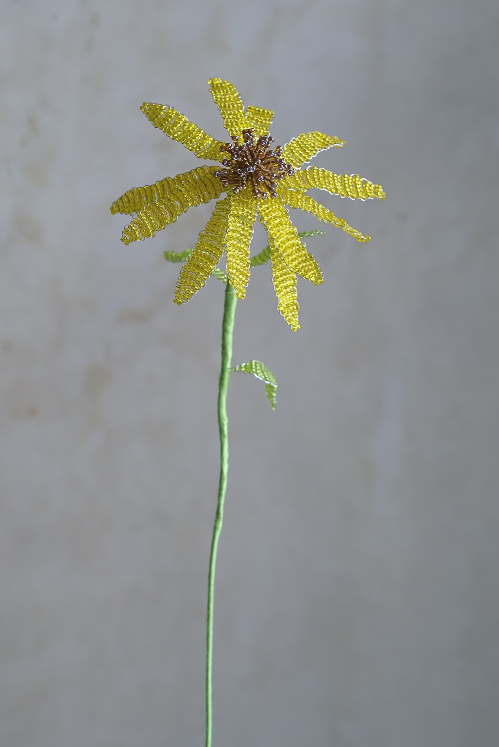 Perle_Solhat2_1.jpg