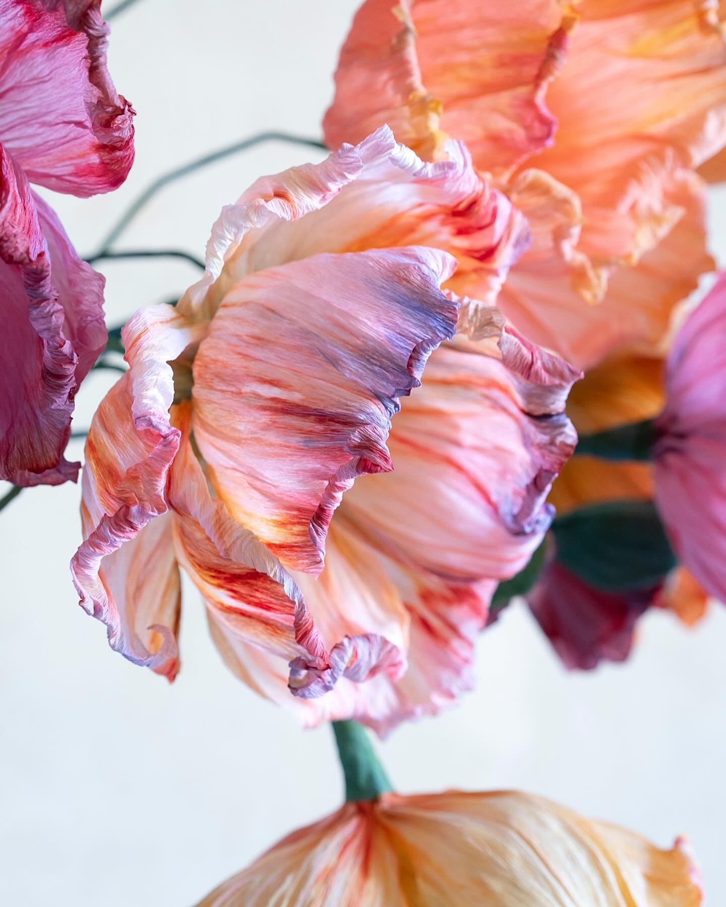 These colours 🥲✨
I might have to dye some more paper soon, although I probably should focus on the 50 other ideas and projects I have going on instead 🙈
#papirblomster #crepepapirblomster #paperflowers #crepepaperflowers #krea #paperbotanicals #pap