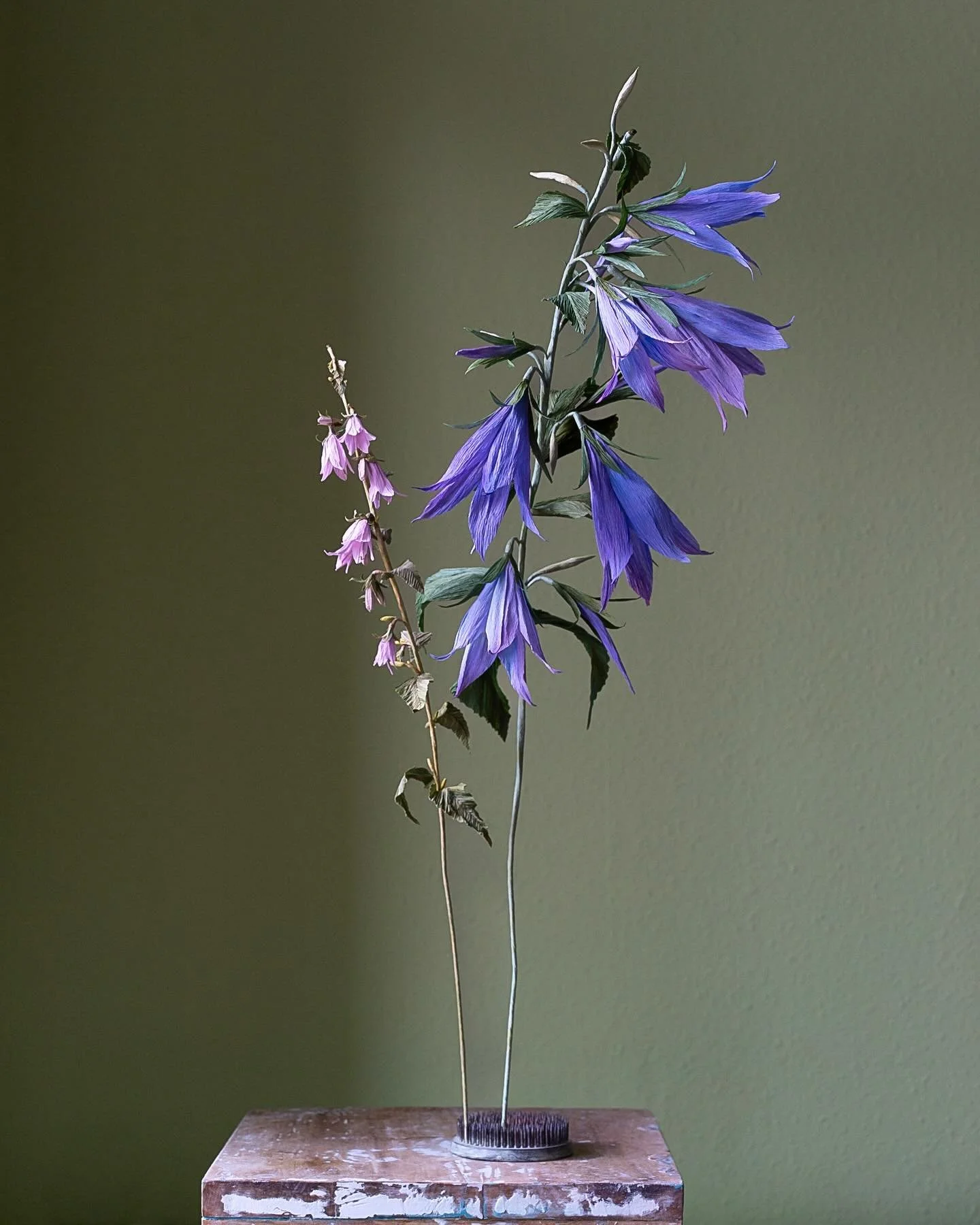 As I mentioned in my post about the custom order of XL poppies, my vase now looks very empty and needs some new friends 🌿 The first addition is this oversized bellflower (regular sized flower for scale). I find it surprisingly fun working with diffe