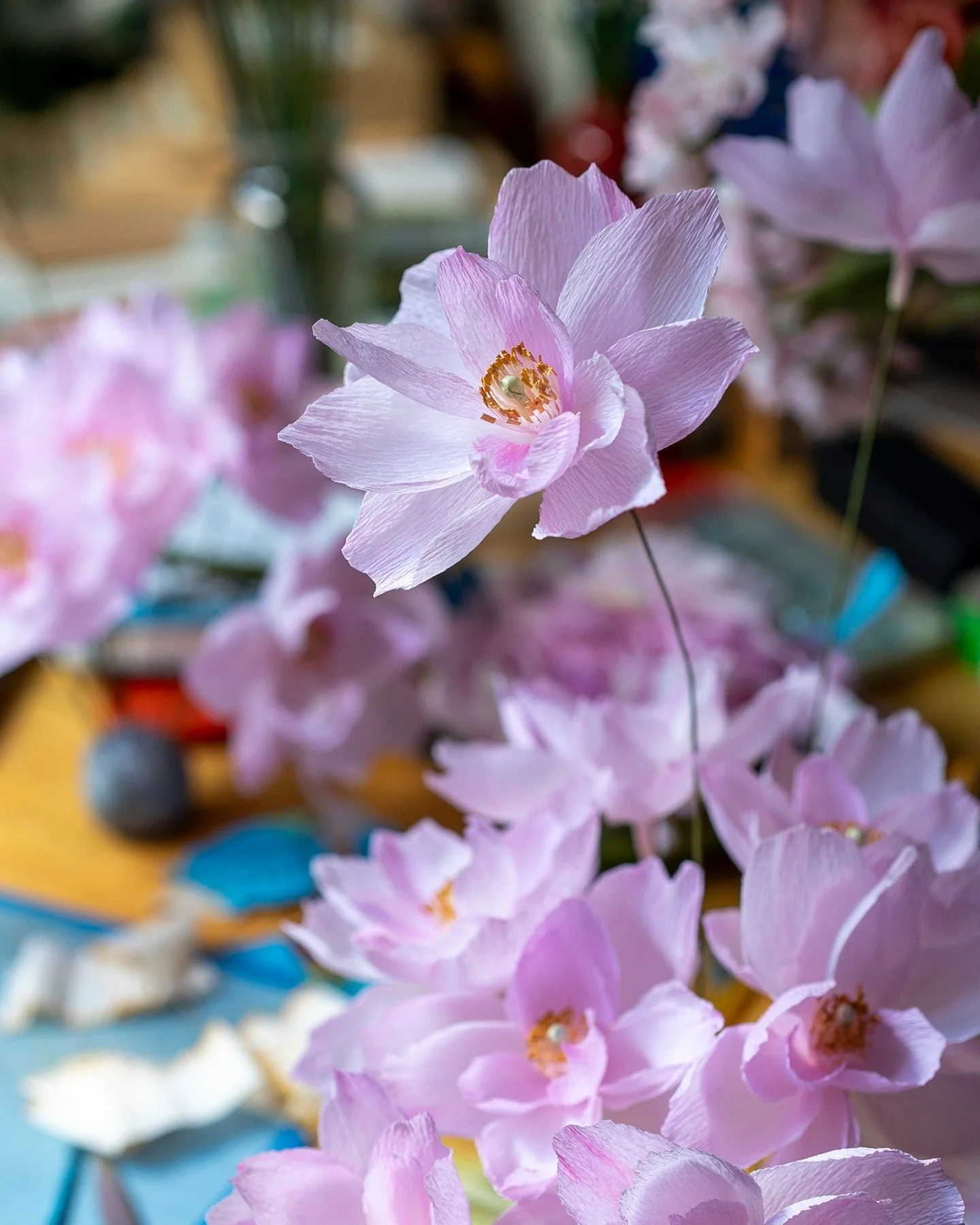 My XL cherry blossoms are taking shape 🌸 One of these are about the same size as five of the regular sized flowers 🦕 I still need a lot of elements, but so far they are looking good and I am excited to see the finished branch 😊 
#papirblomster #cr