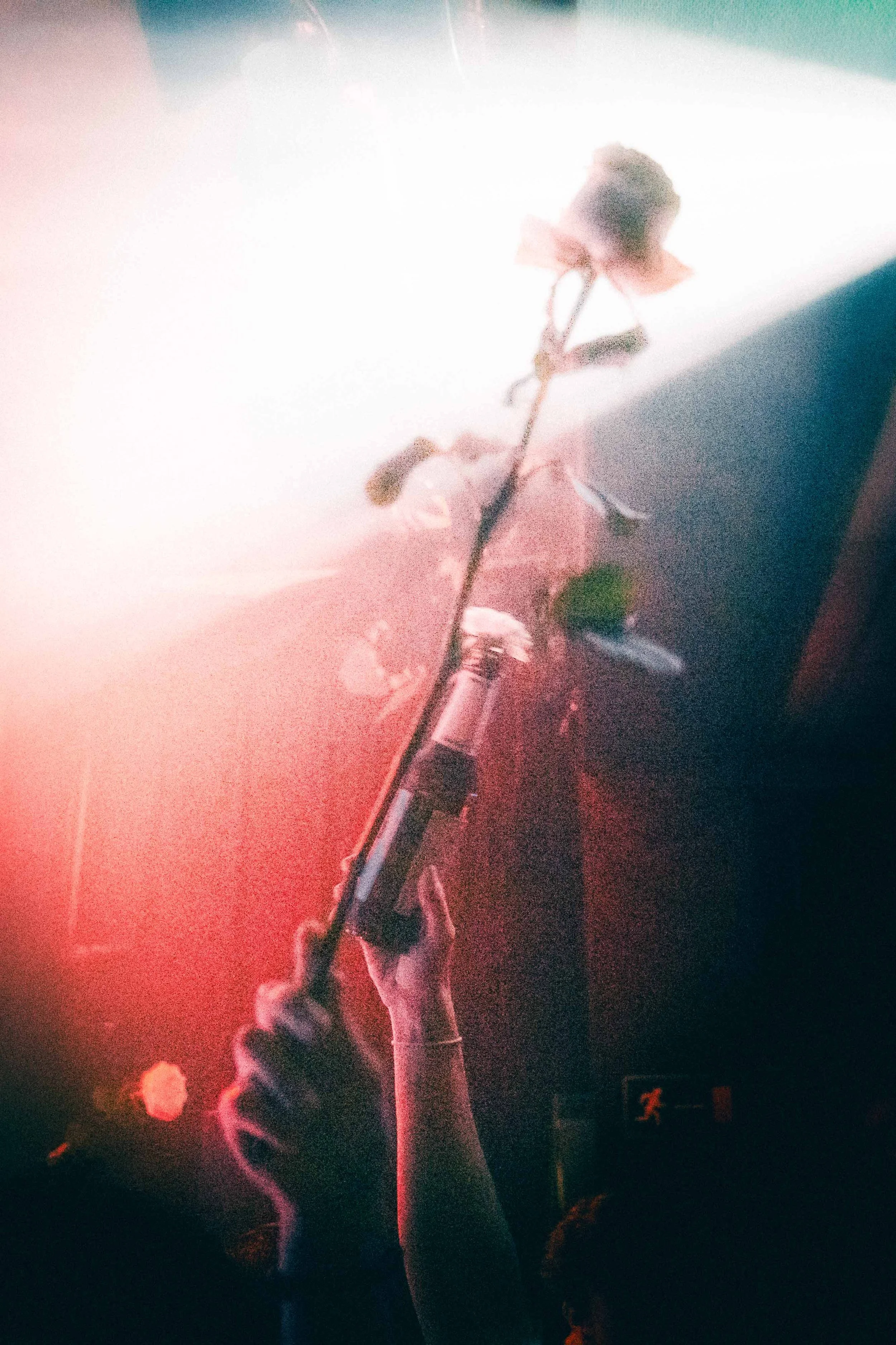 Sara_Iris_aug18_22.jpg