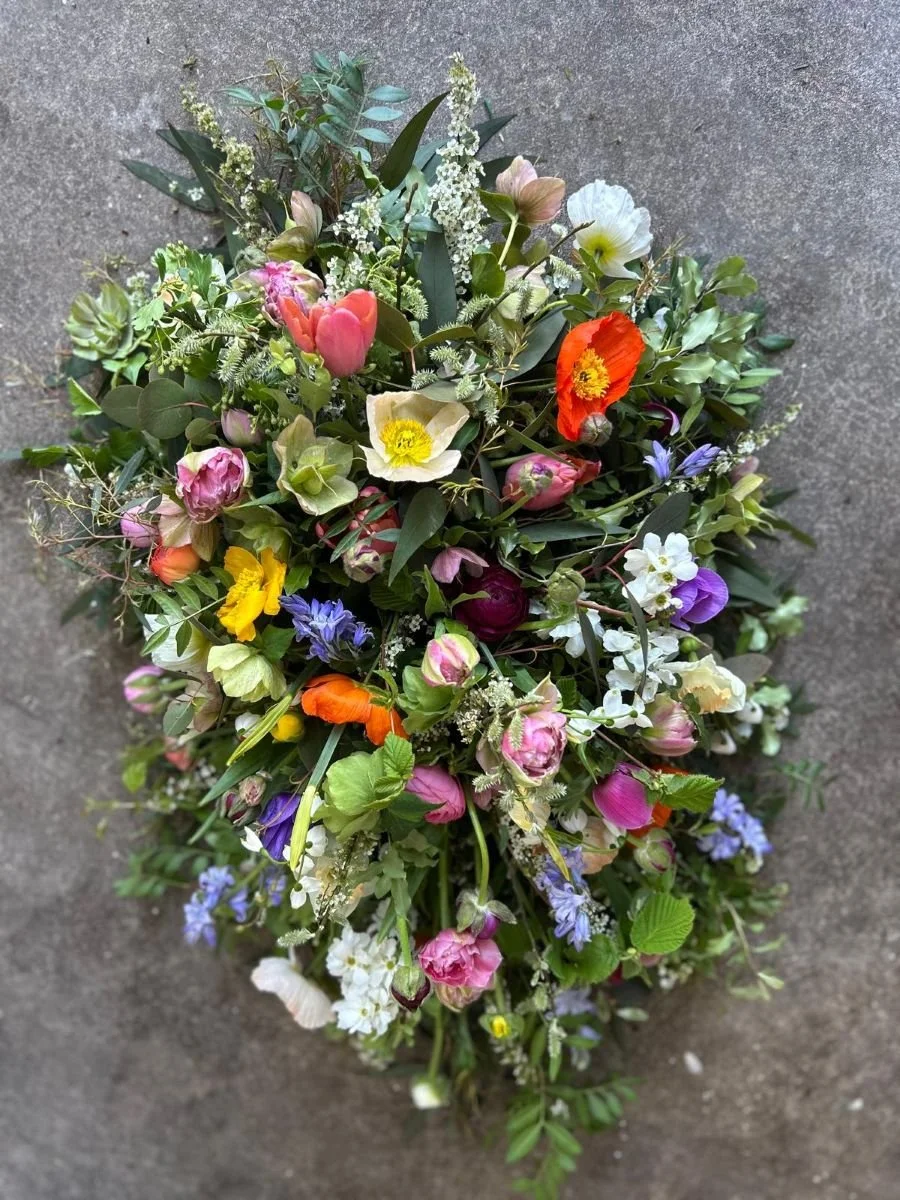 spring flower single spray bright colours.jpg
