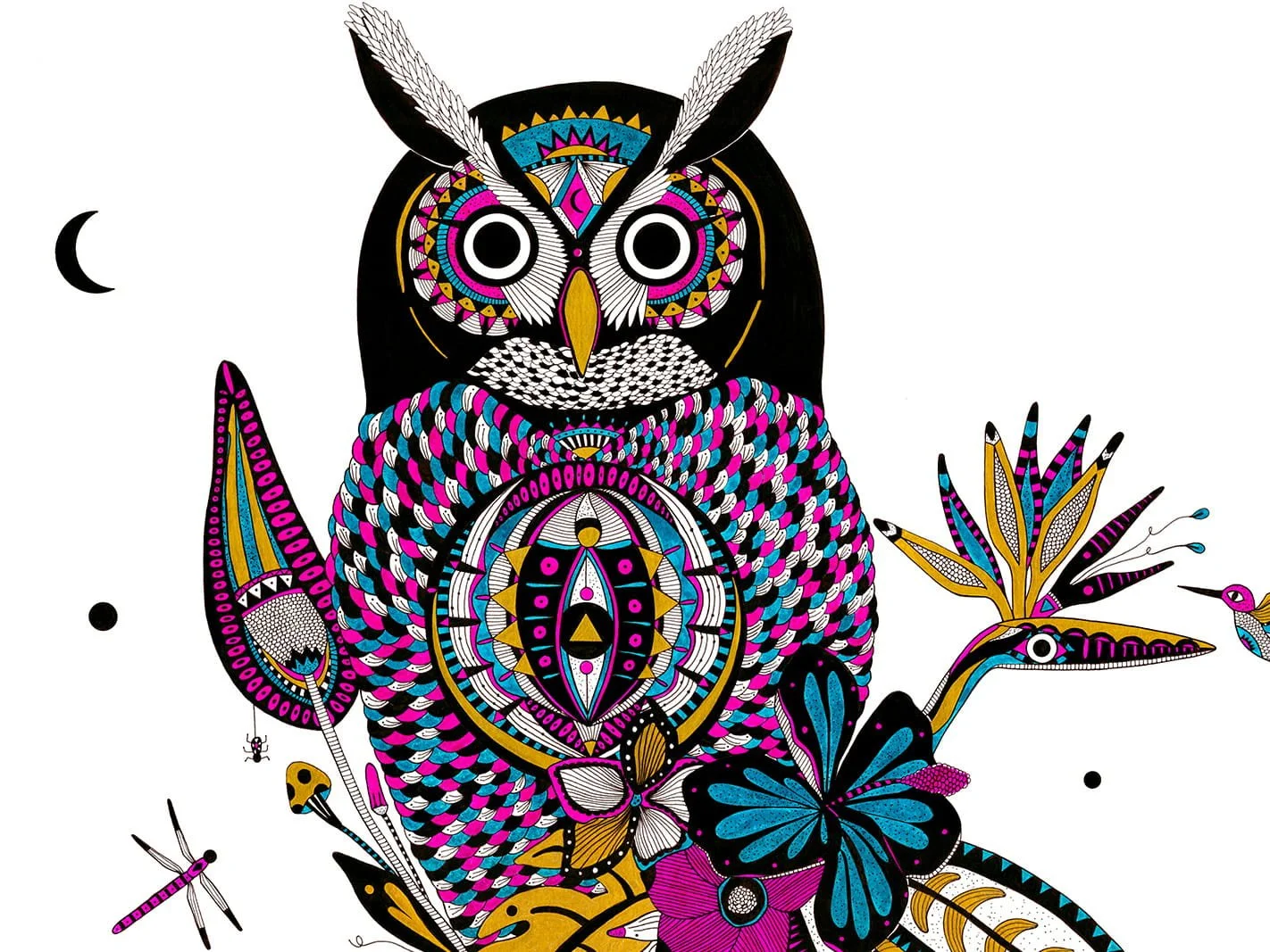 Owl + Mockups_CLOSEUP_1.jpg