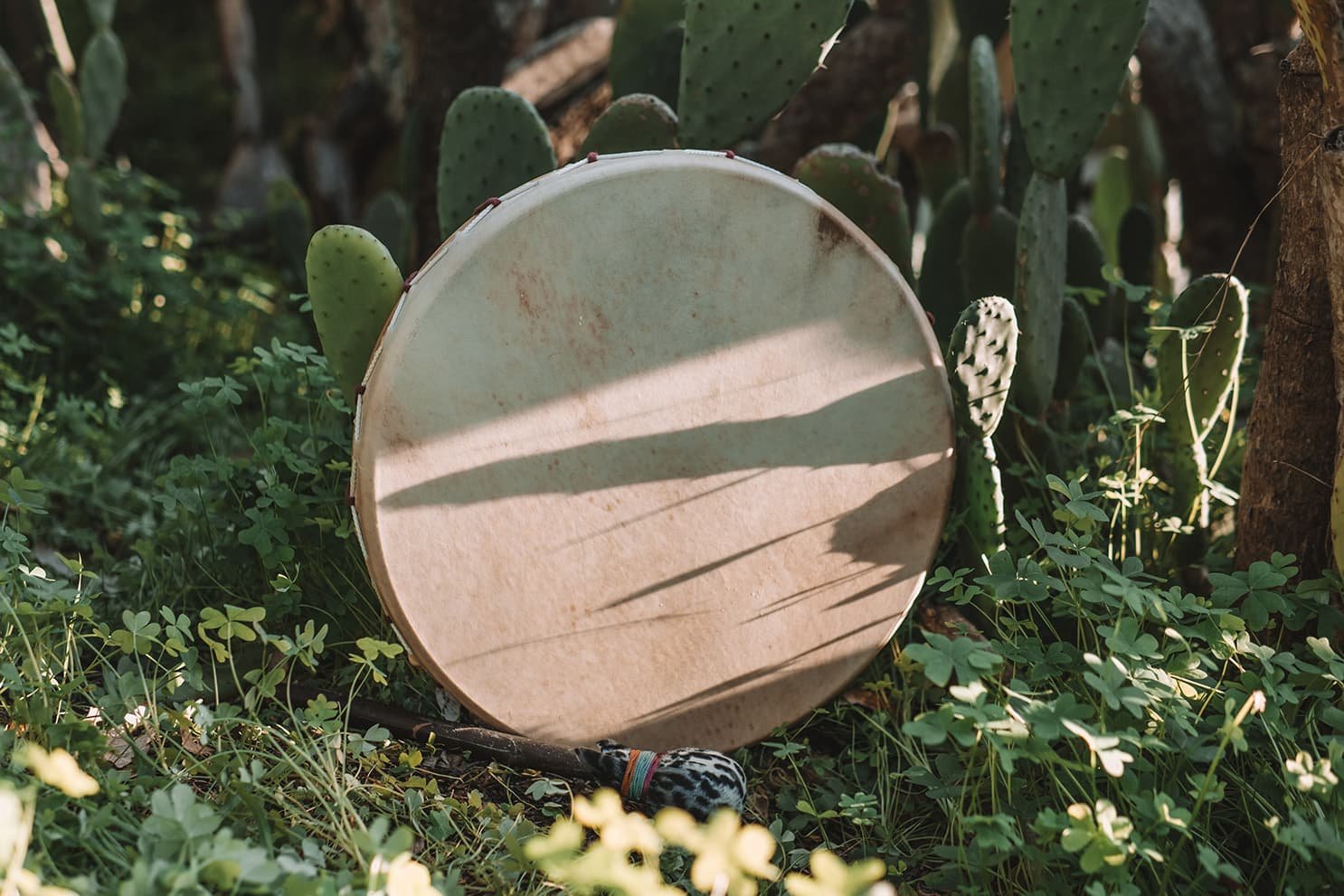ShamanicDrum.jpeg