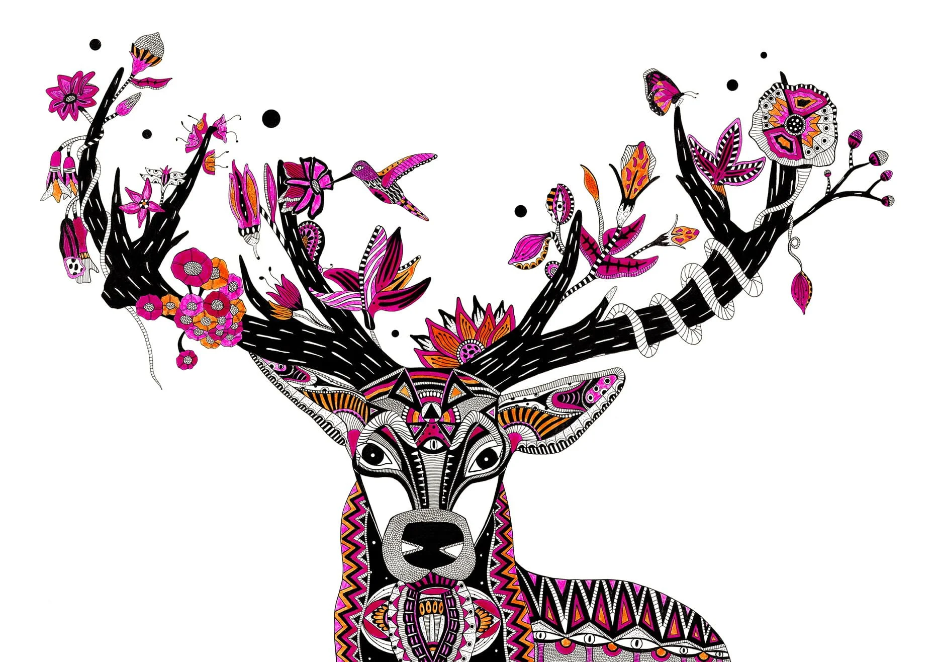 Nayeli Lavanderos Deer_2026.jpg