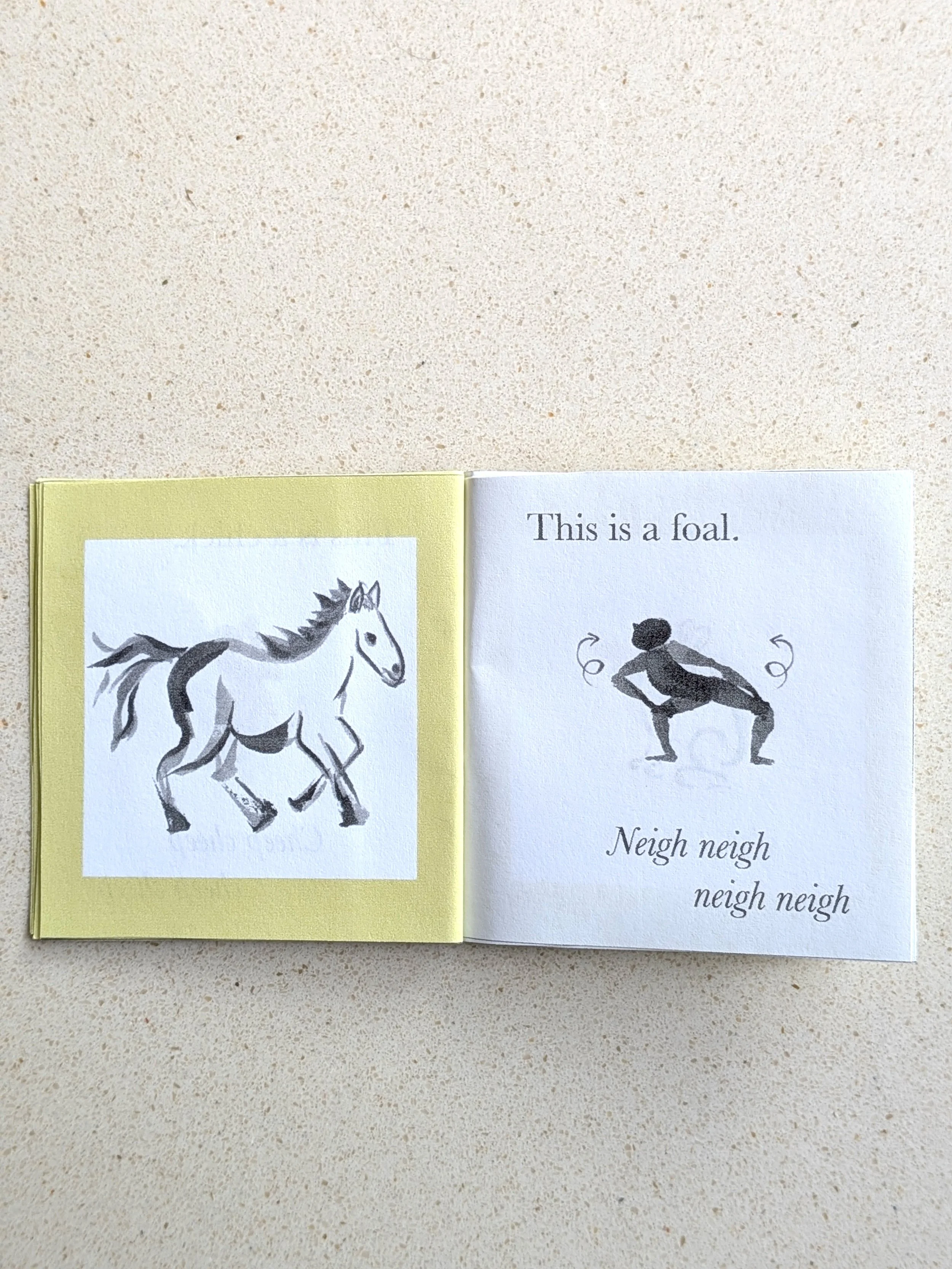 baby foal.jpg