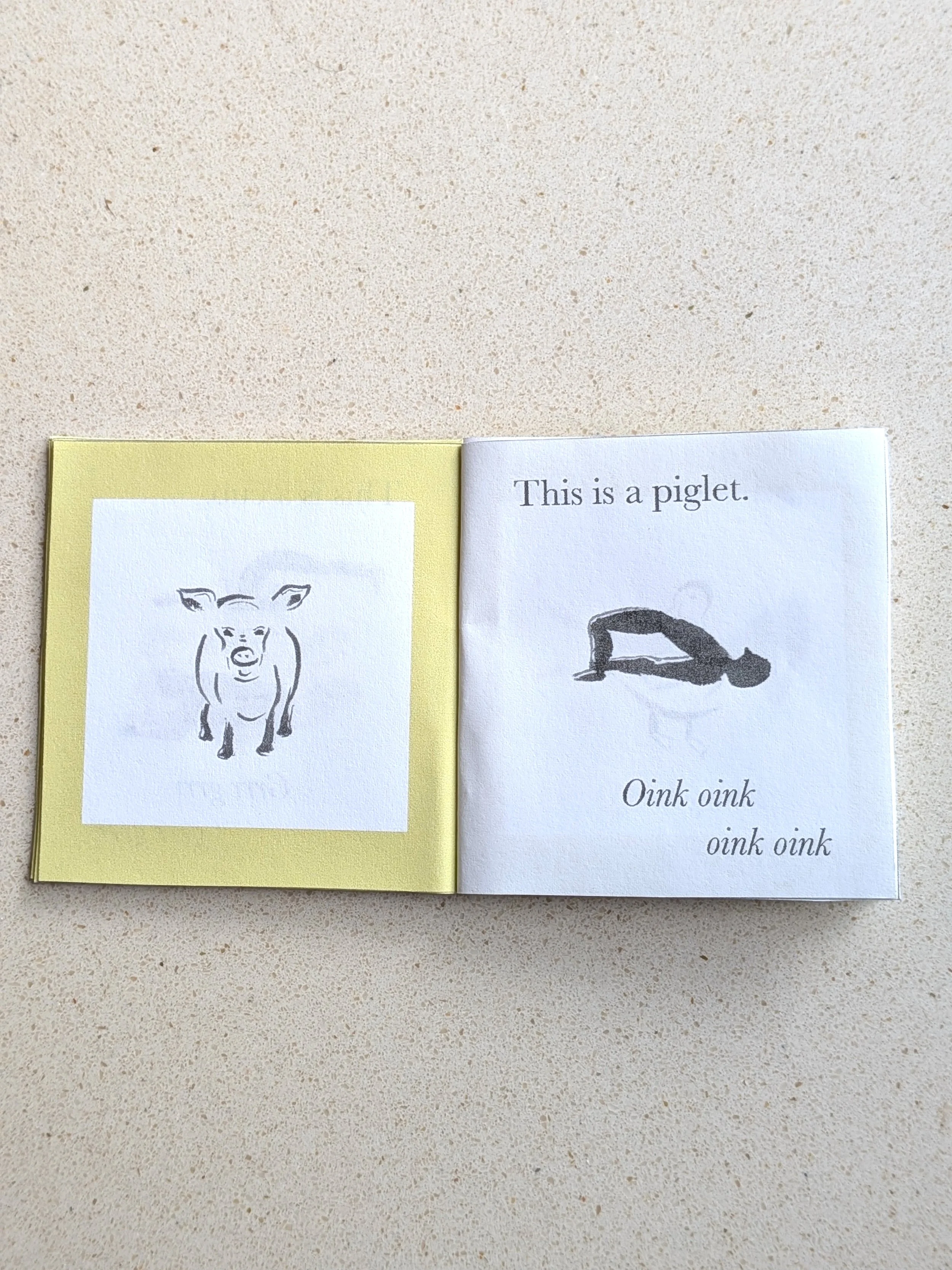 baby piglet.jpg