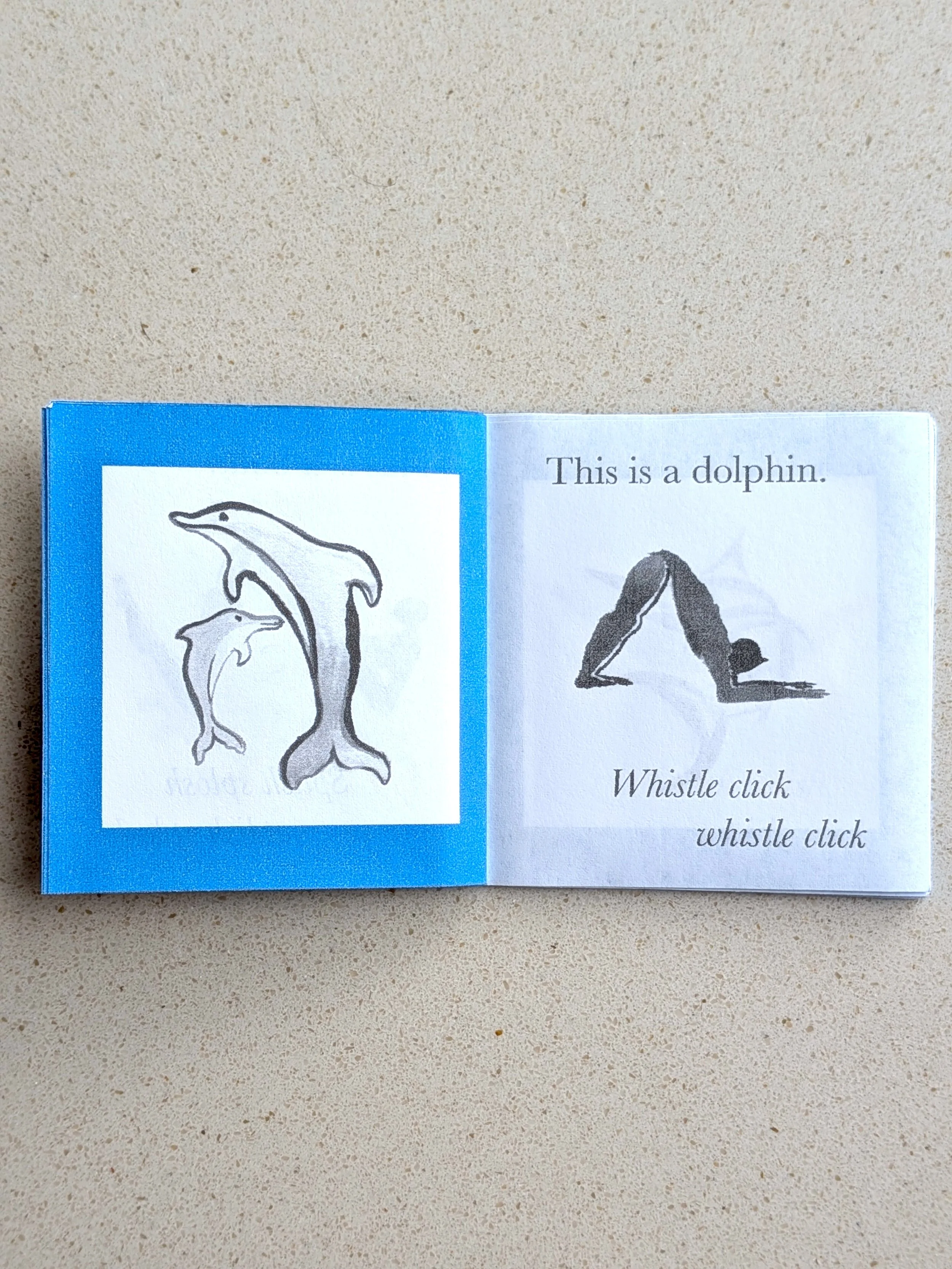 sea int dolphin.jpg